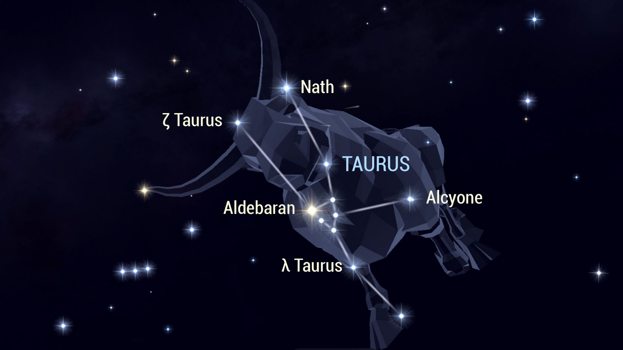 Taurus in the Night Sky