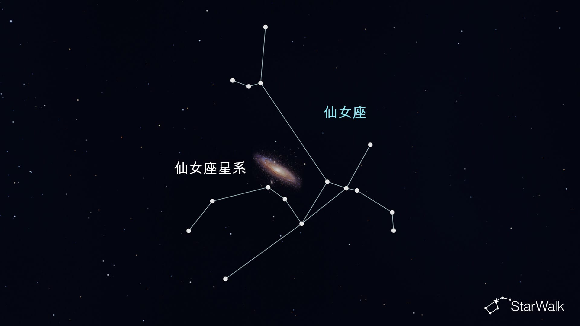 仙女座中的仙女座星系