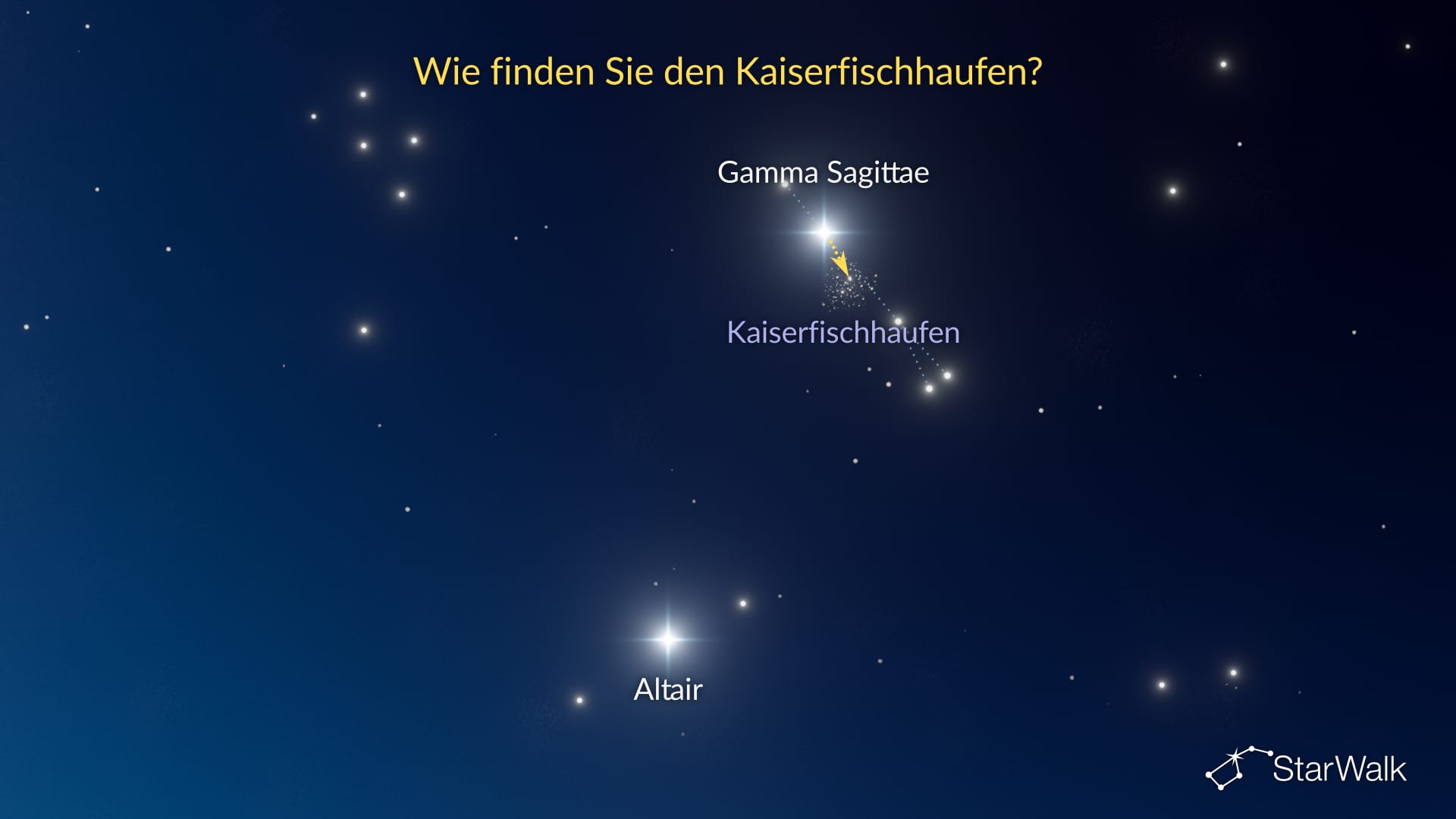 Kaiserfischhaufen – So finden Sie ihn