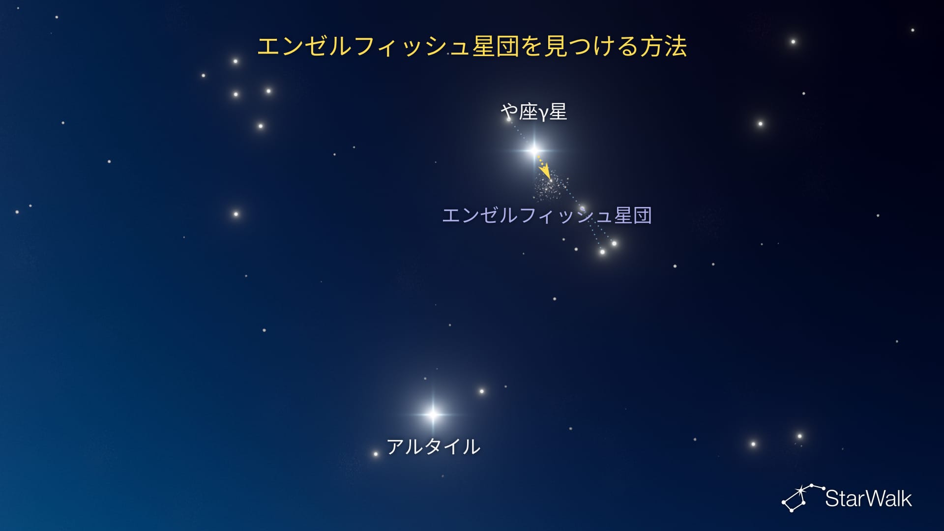 エンゼルフィッシュ星団の見つけ方