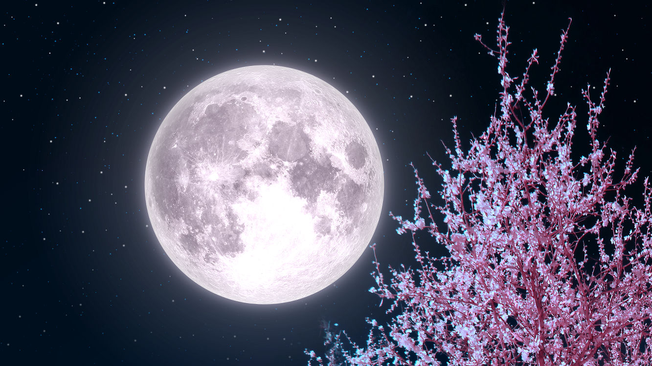 Pink Supermoon The Biggest And Brightest Of 2020 Star Walk