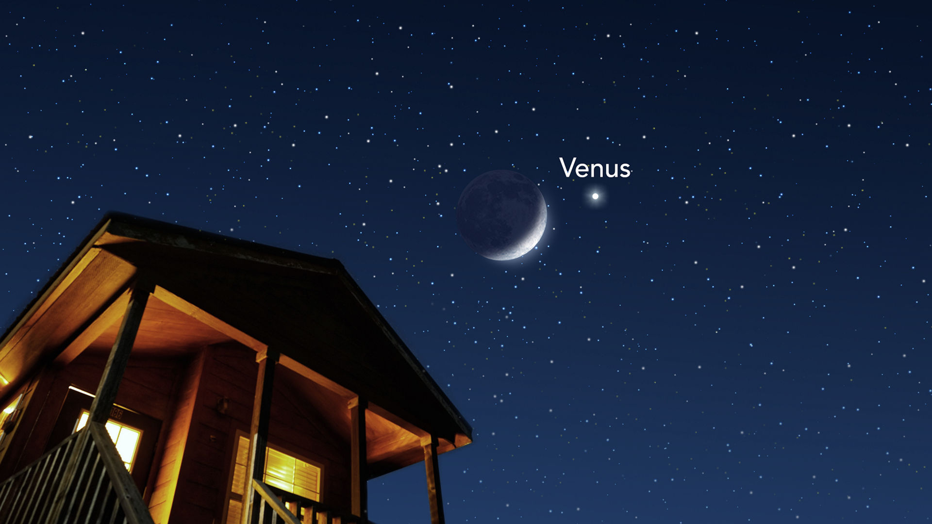 Venus In The Night Sky