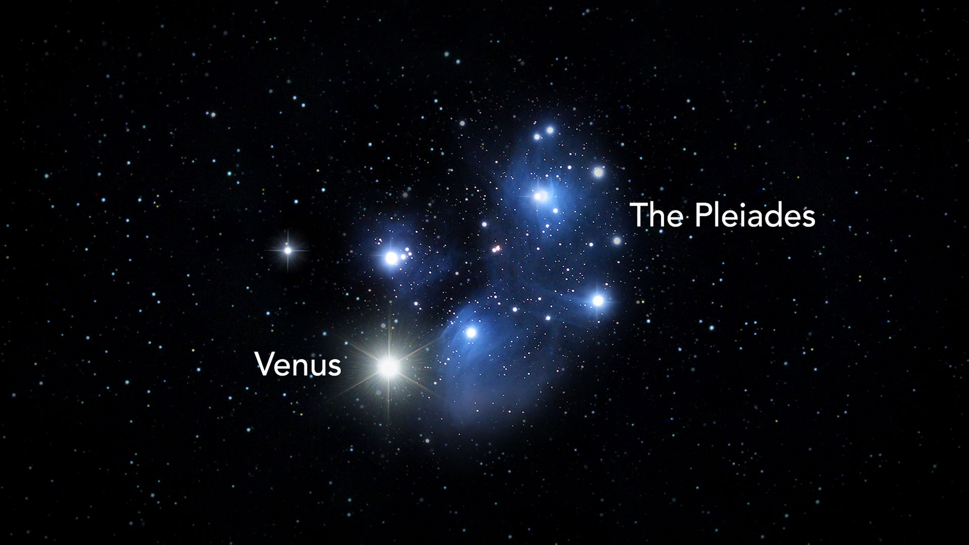 Uma reunião rara de Vênus e as Plêiades no céu noturno