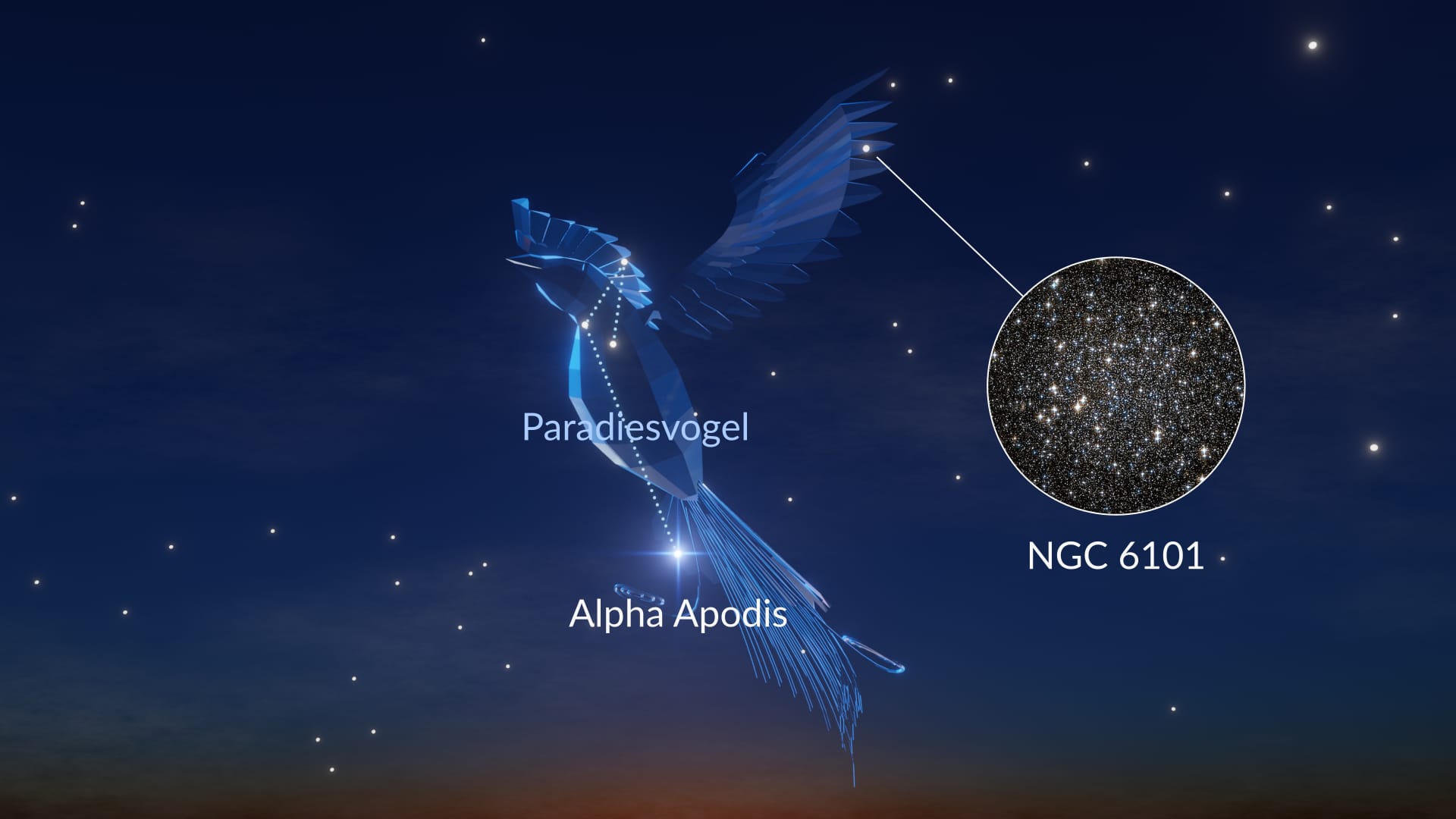 Apus constellation