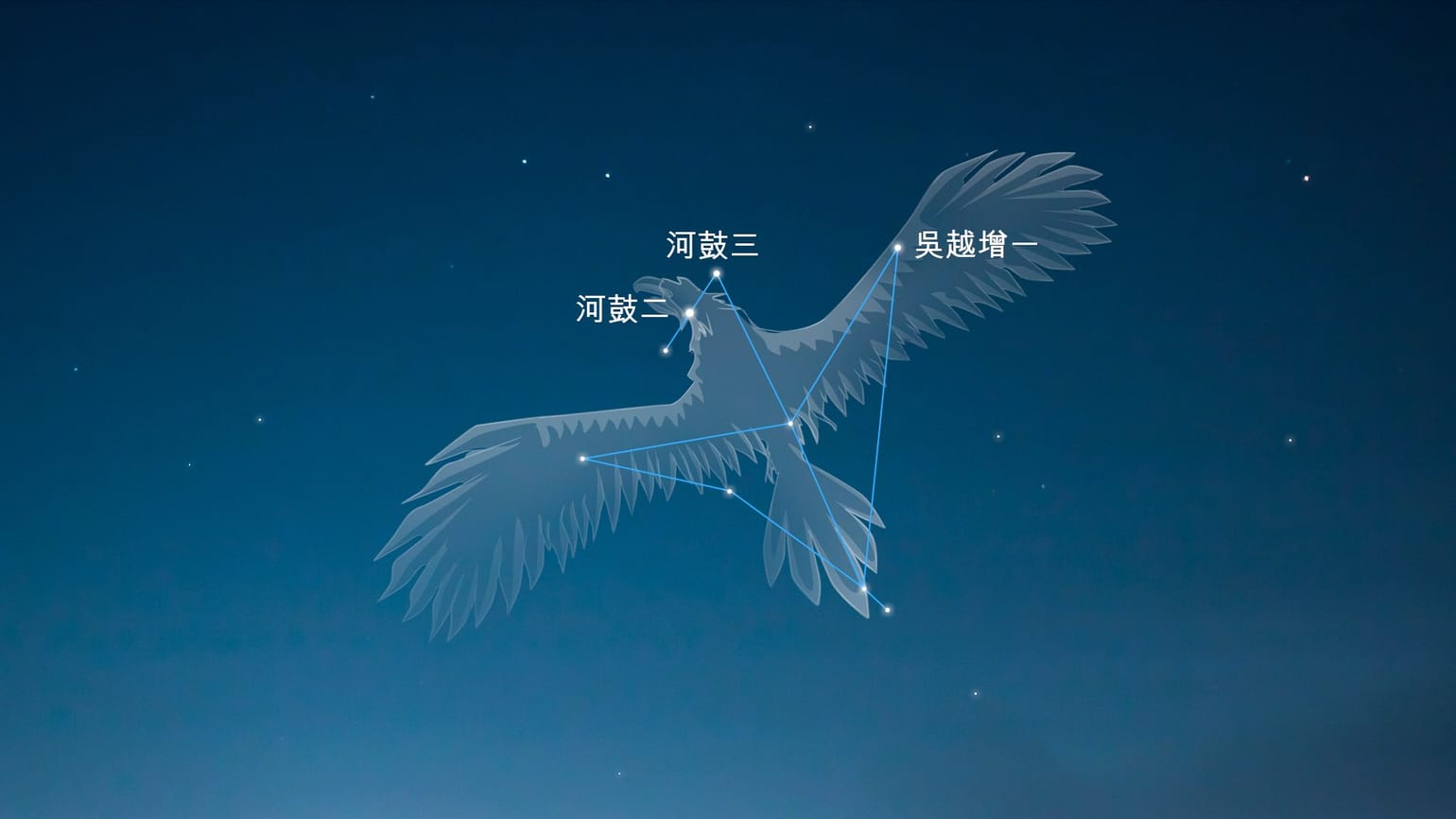天鷹 | Aquila 天鷹座 | Aquila中文 | 鹫鳥座