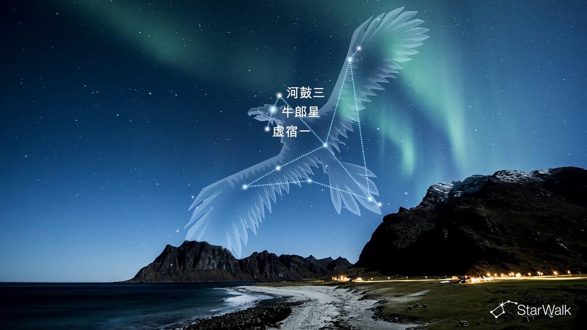 天鹰座:故事、星座、恒星、位置与含义
