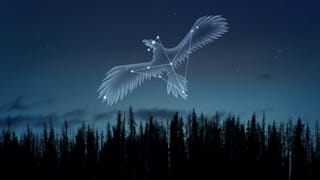 Aquila Constellation