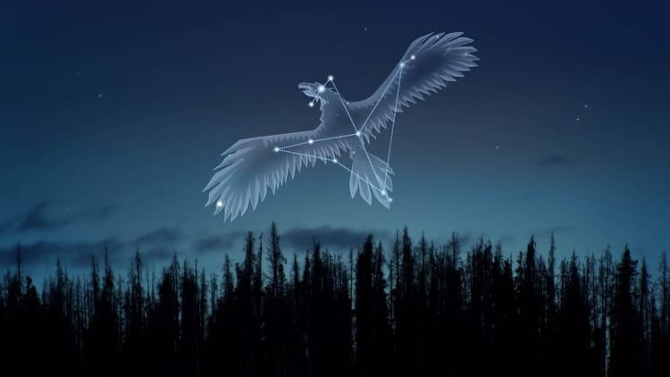 天鹰座:故事、星座、恒星、位置与含义