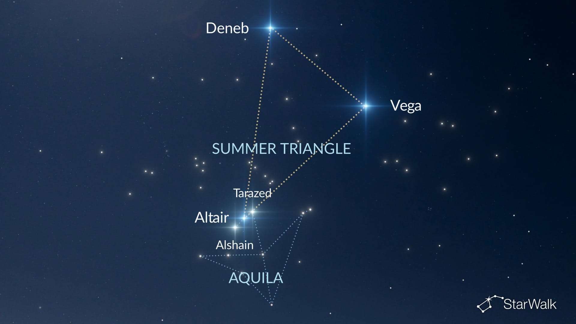 How to Find Aquila in the Northern Hemisphere