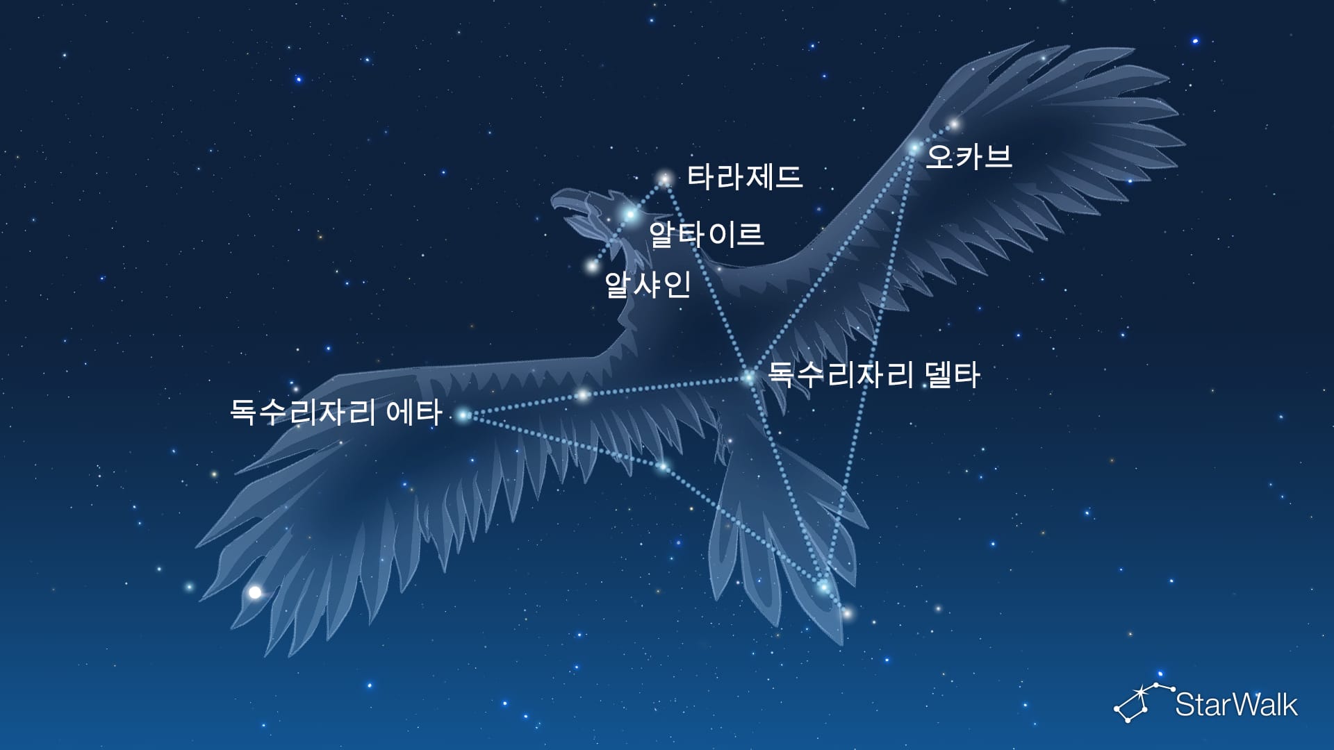 독수리자리의 별들