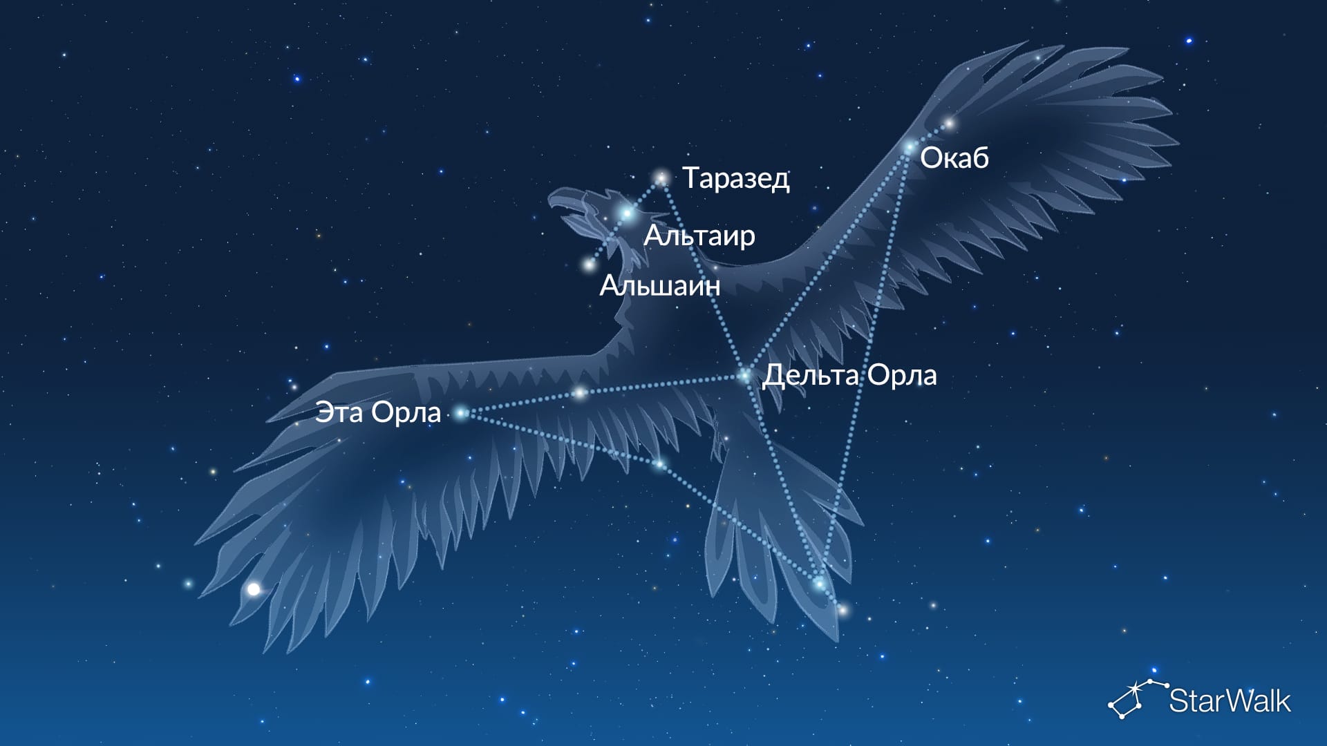 Звёзды созвездия Орла
