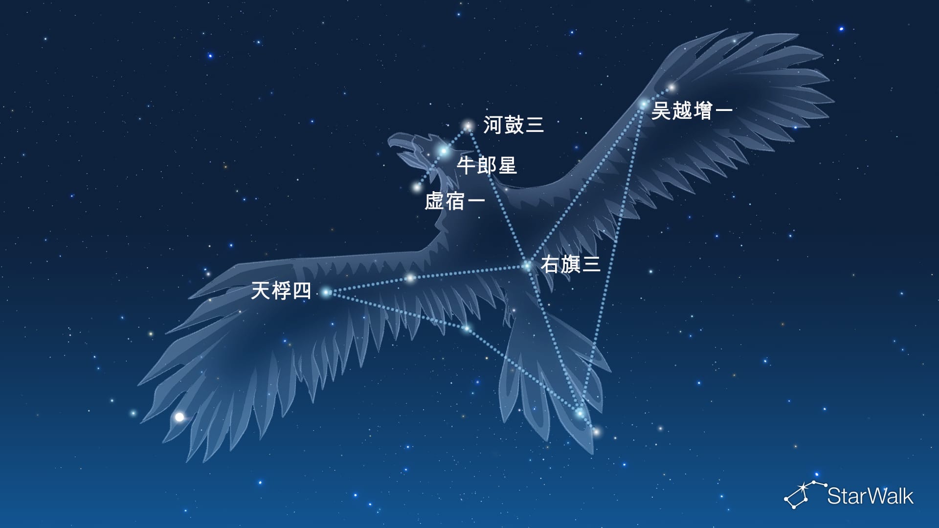天鹰座恒星
