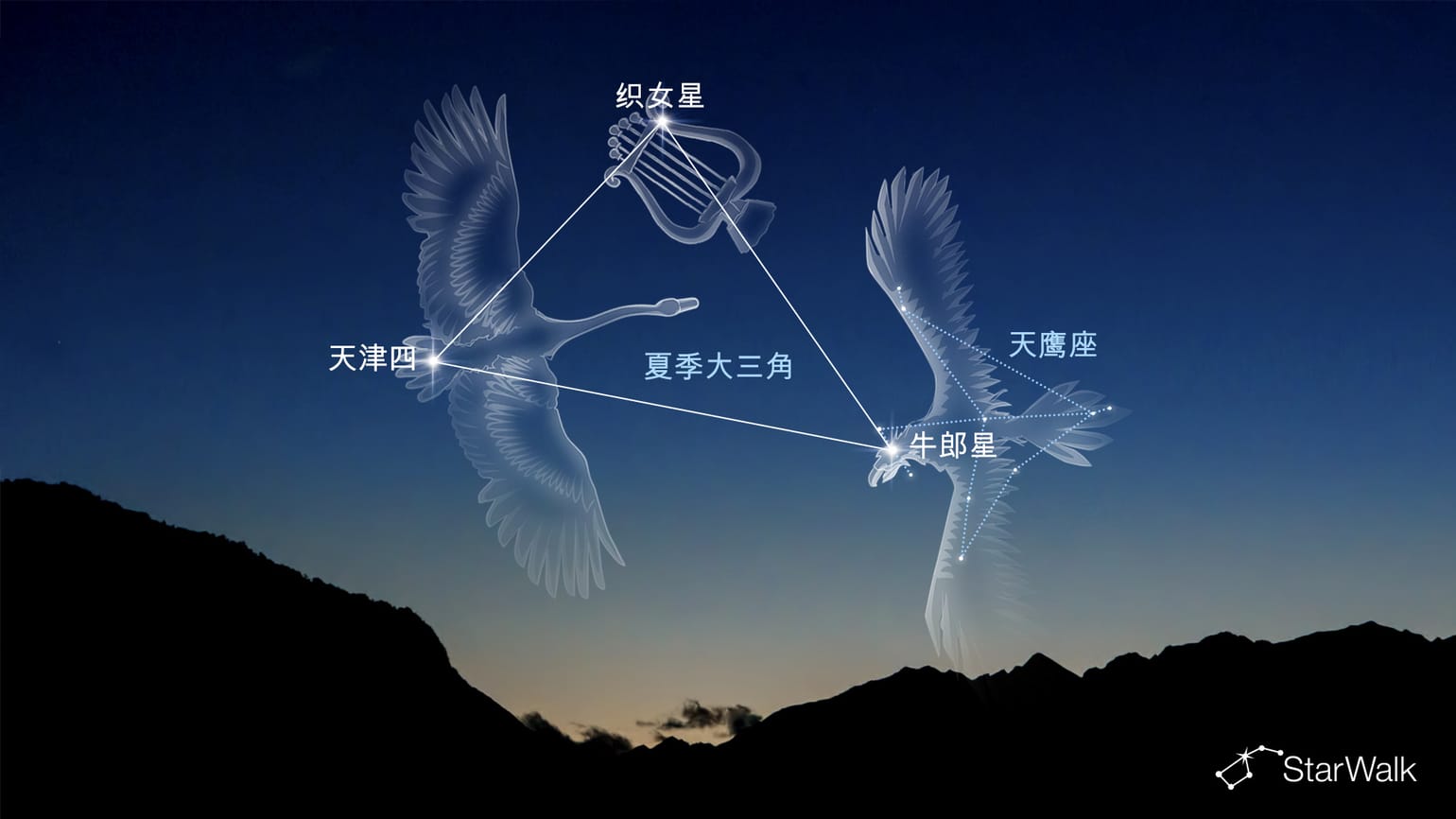 天鹰座:故事、星座、恒星、位置与含义