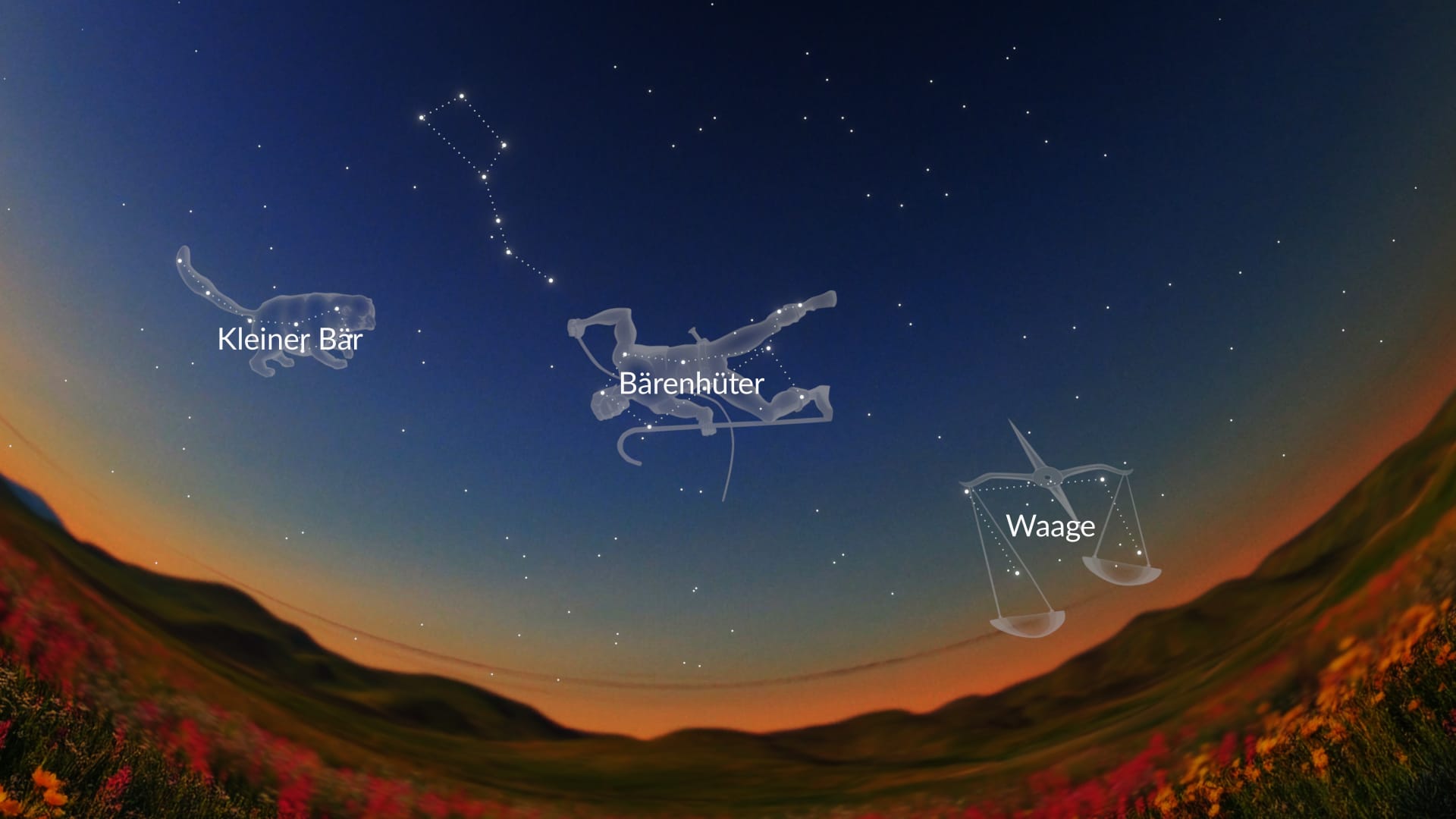 Sterne im Juni 2026: Sternbilder der Nordhalbkugel