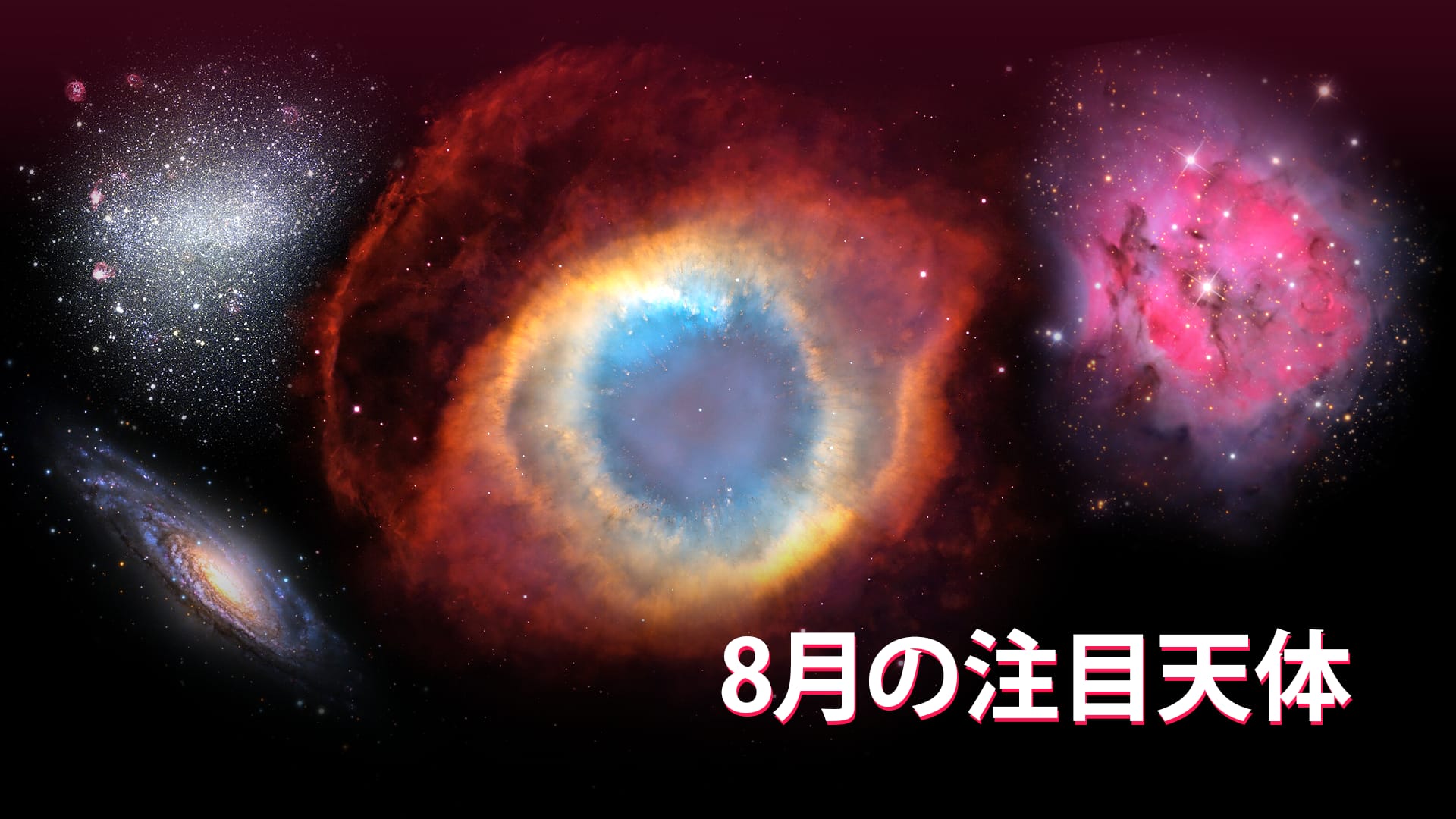 8月の注目天体