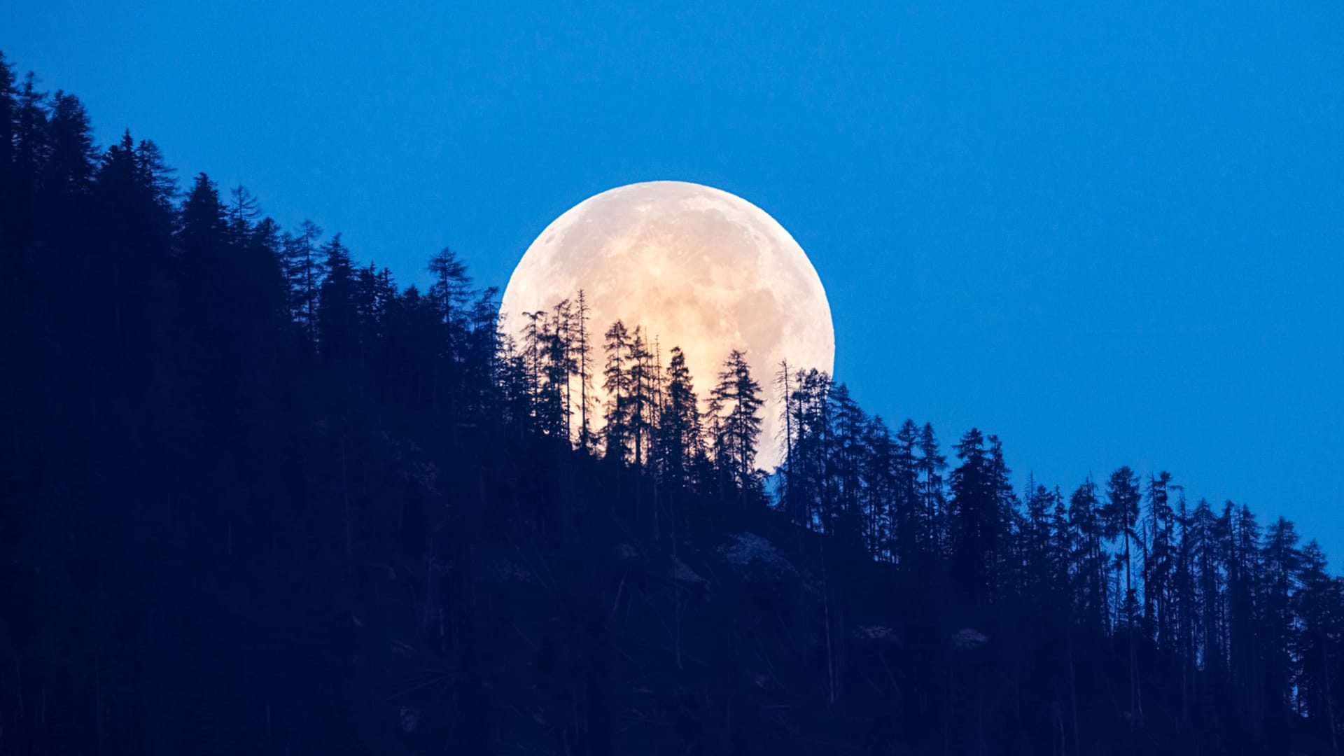 Pleine lune en août : pourquoi l'appelle-t-on « lune bleue » ?