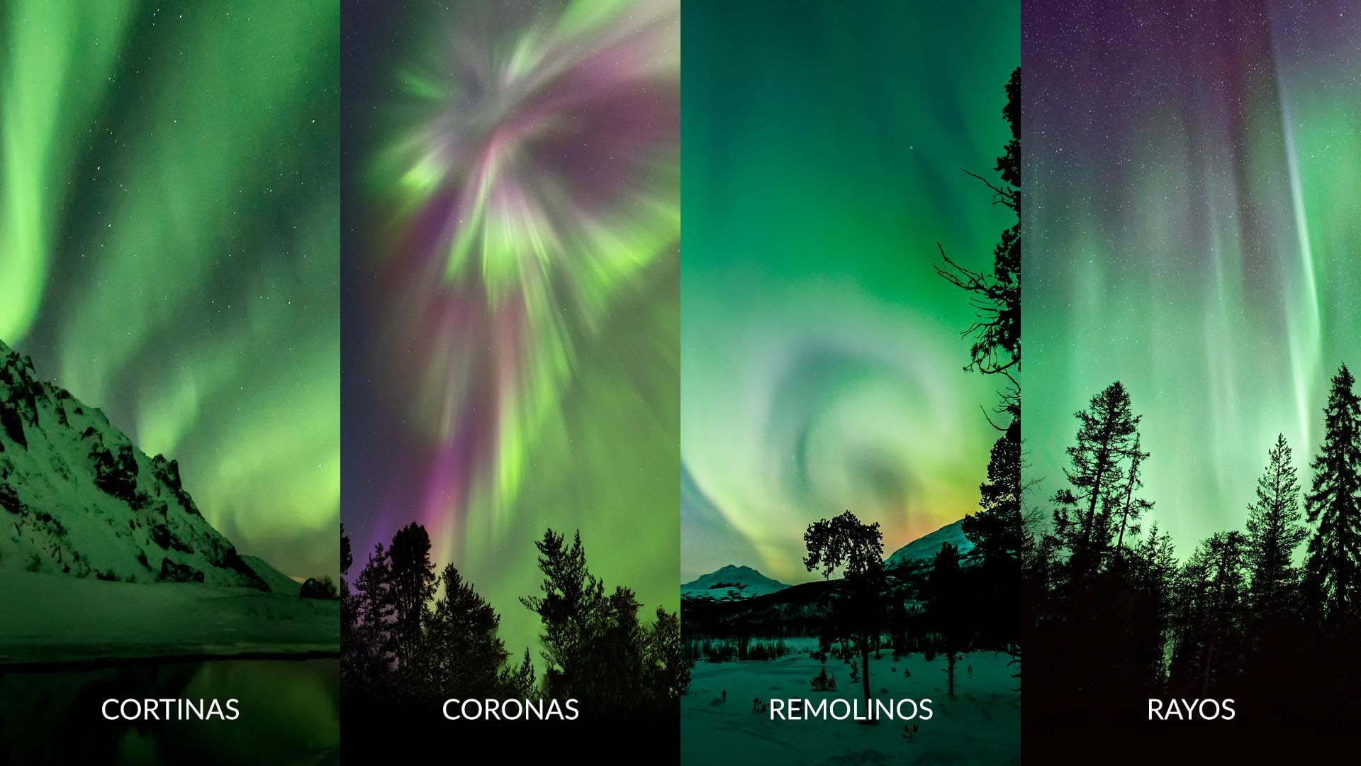 Formas de las auroras boreales y australes