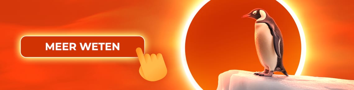 Banner: Annular Solar Eclipse 2026