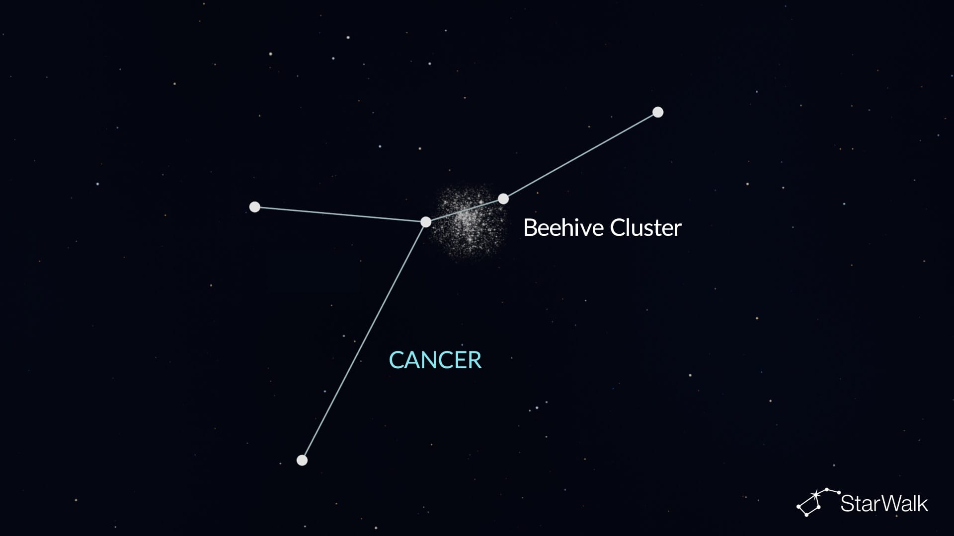 Beehive Cluster in Cancer