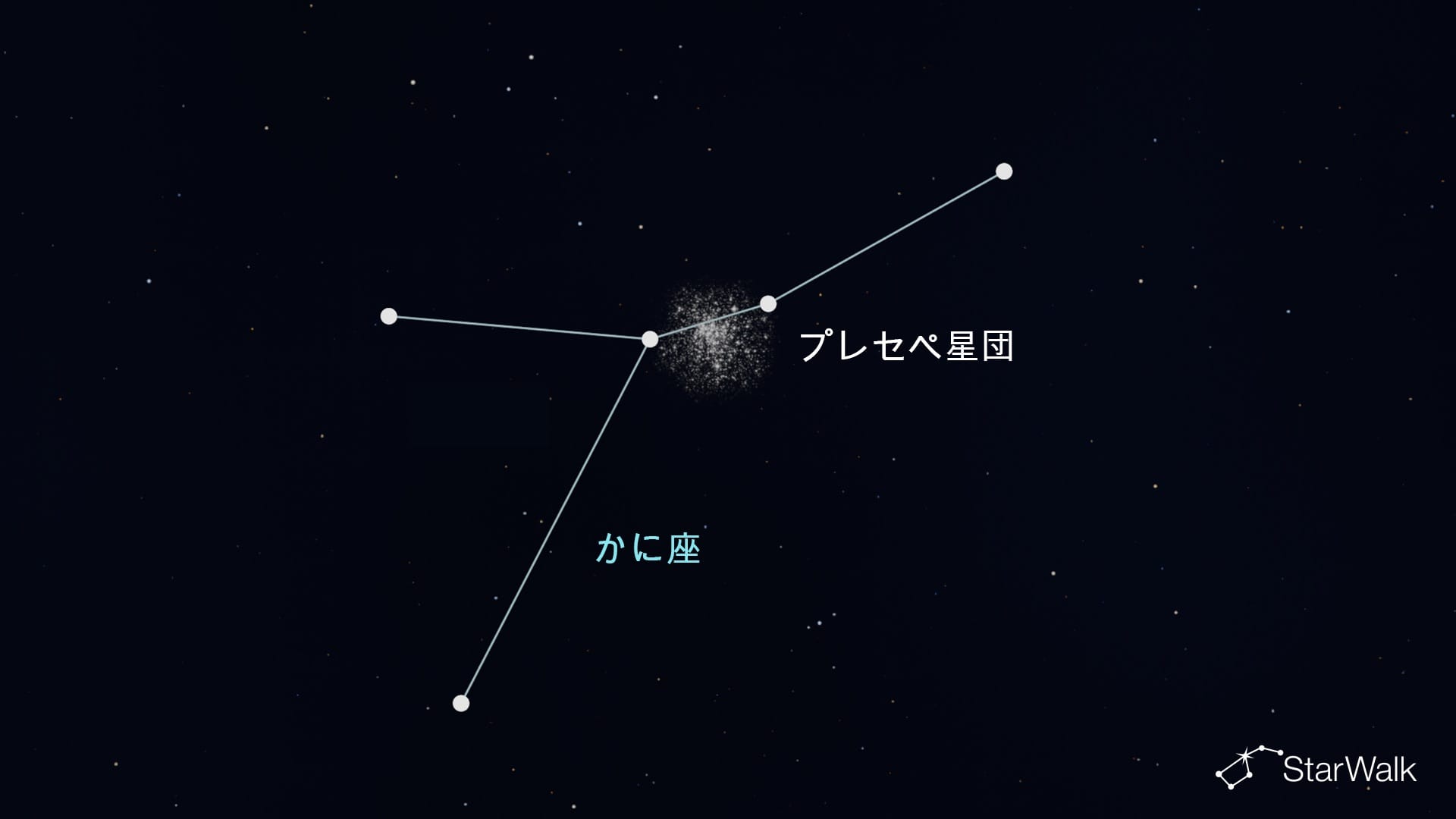 かに座のプレセペ星団
