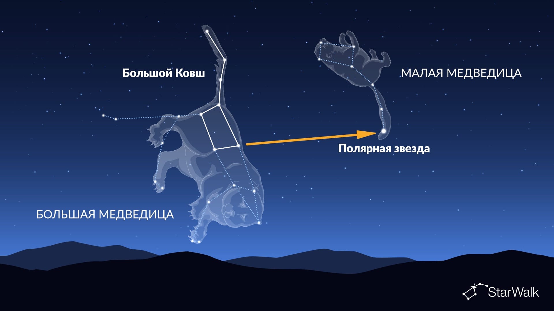 Как найти Полярную звезду с помощью Большого Ковша