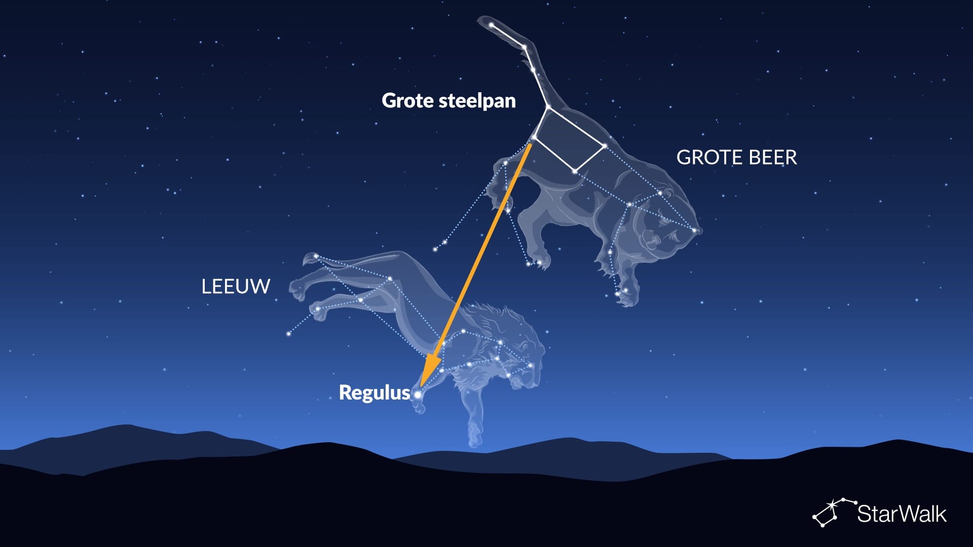 Regulus vinden met de Steelpan
