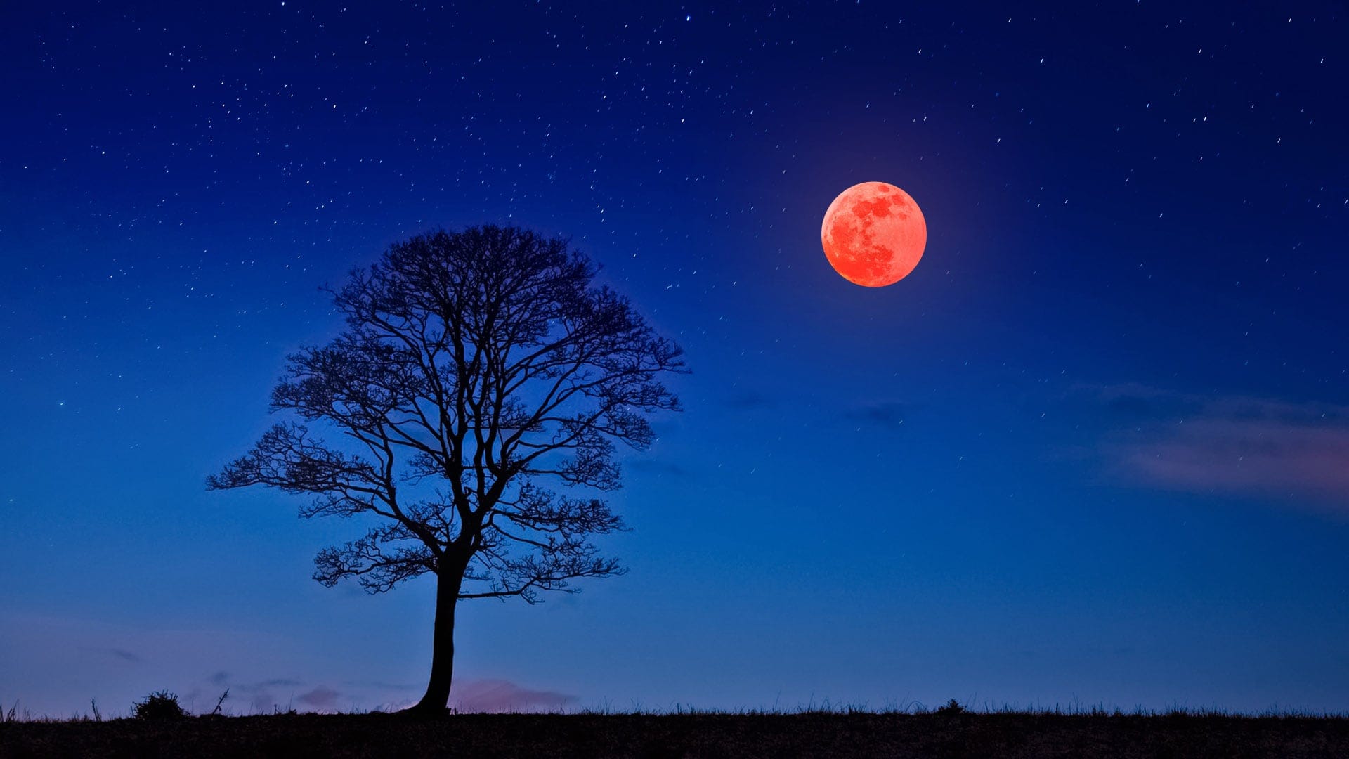 Luna llena en mayo del 2022: luna de flores y sangre