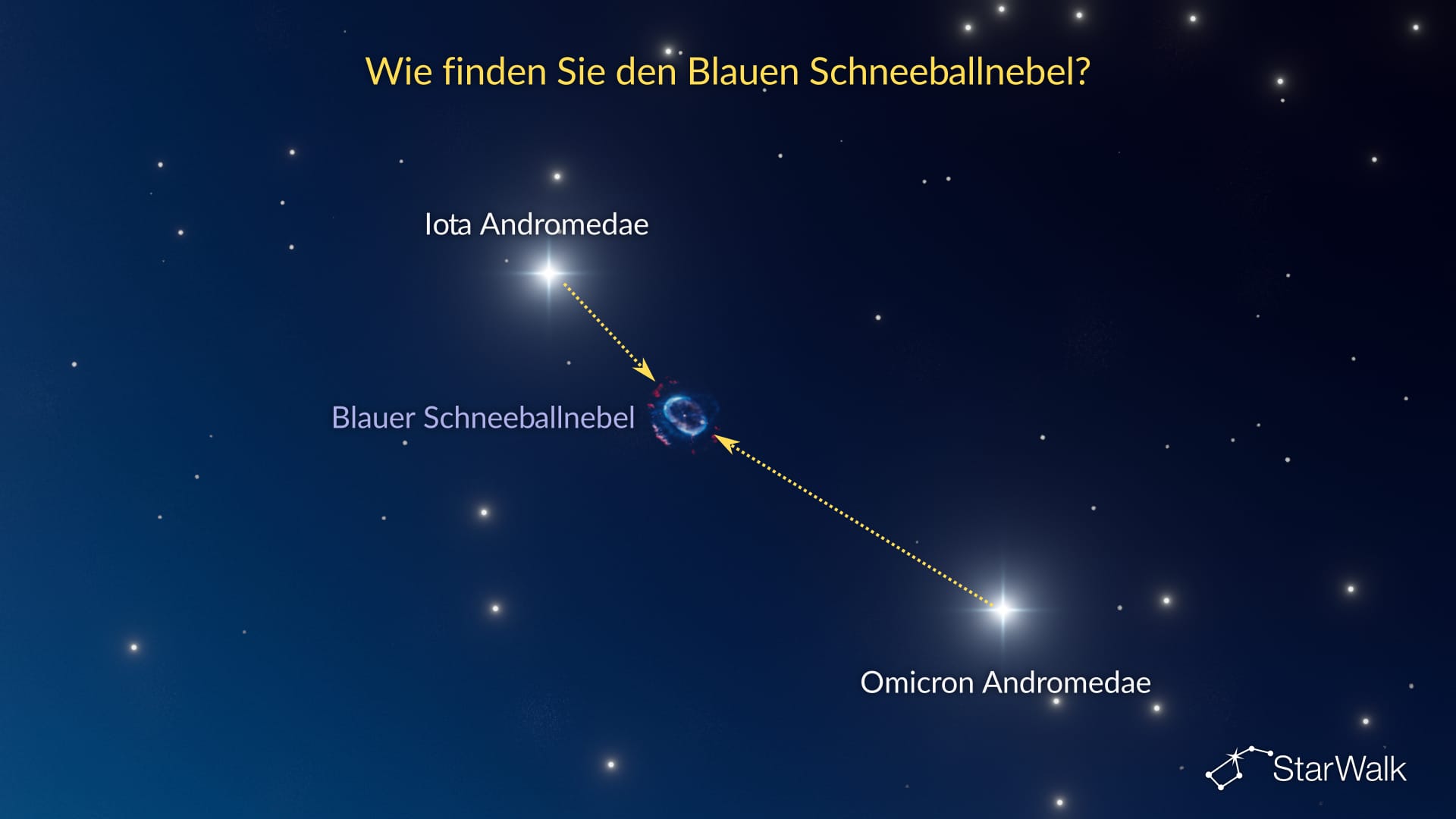 Blauer Schneeballnebel – So finden Sie ihn