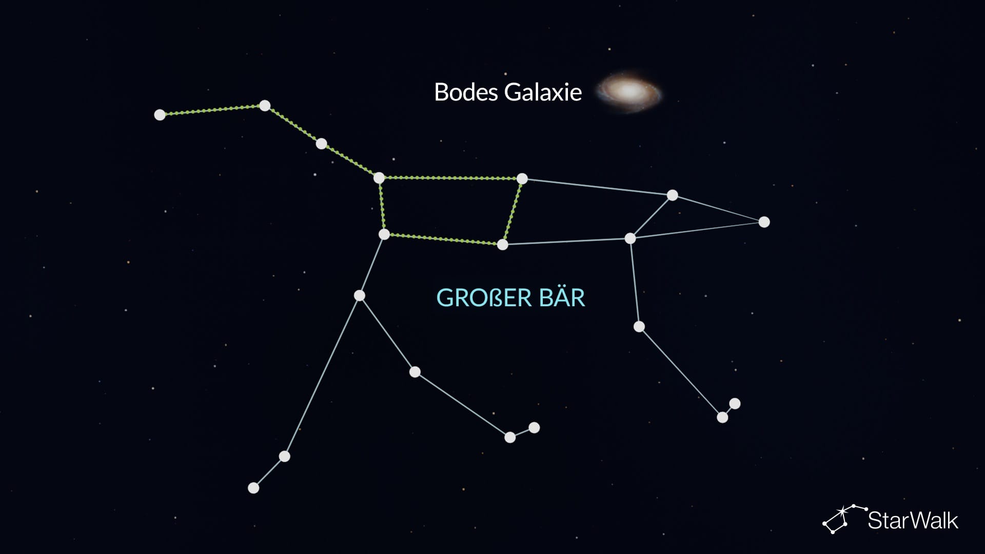Bodes Galaxie im Großen Bären