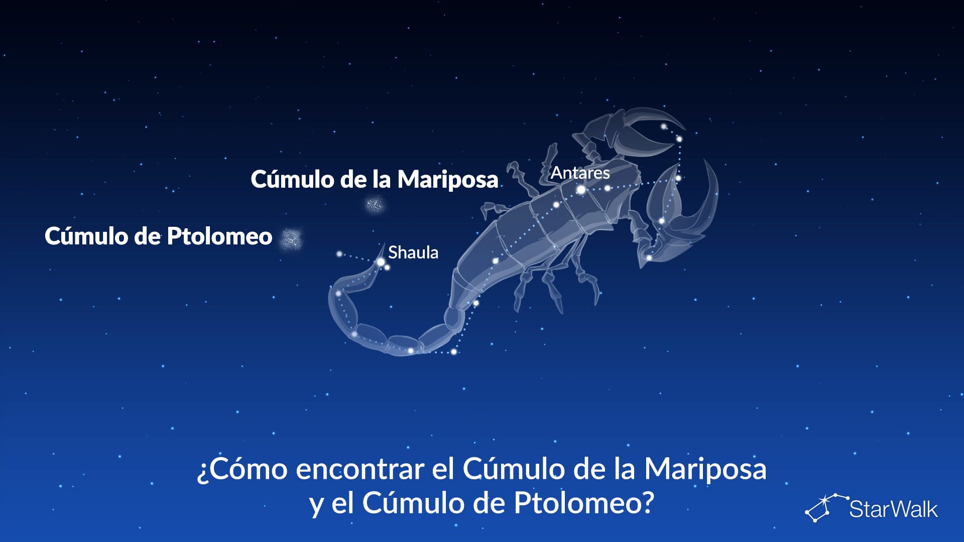 Cúmulo de la Mariposa y Cúmulo de Ptolomeo: cómo encontrarlos