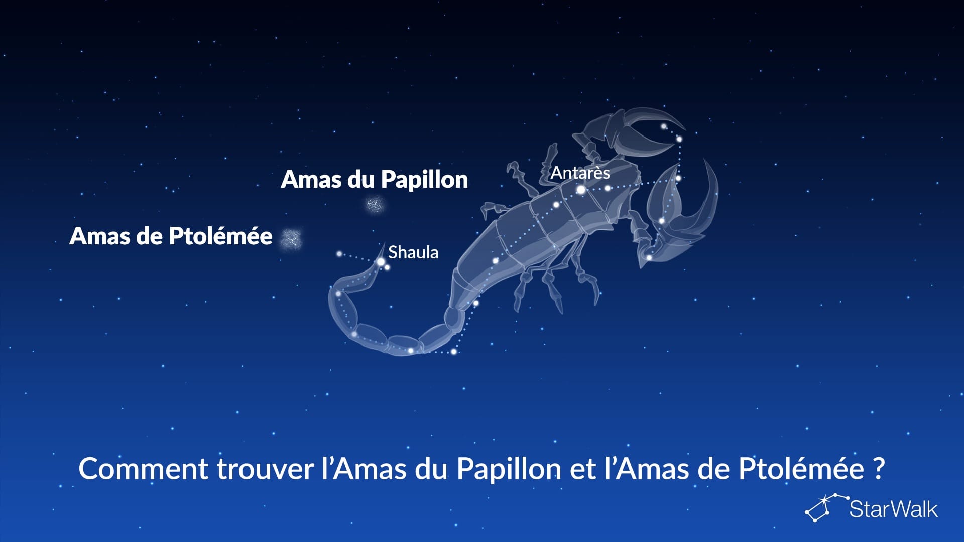 Amas du Papillon et Amas de Ptolémée — comment les trouver