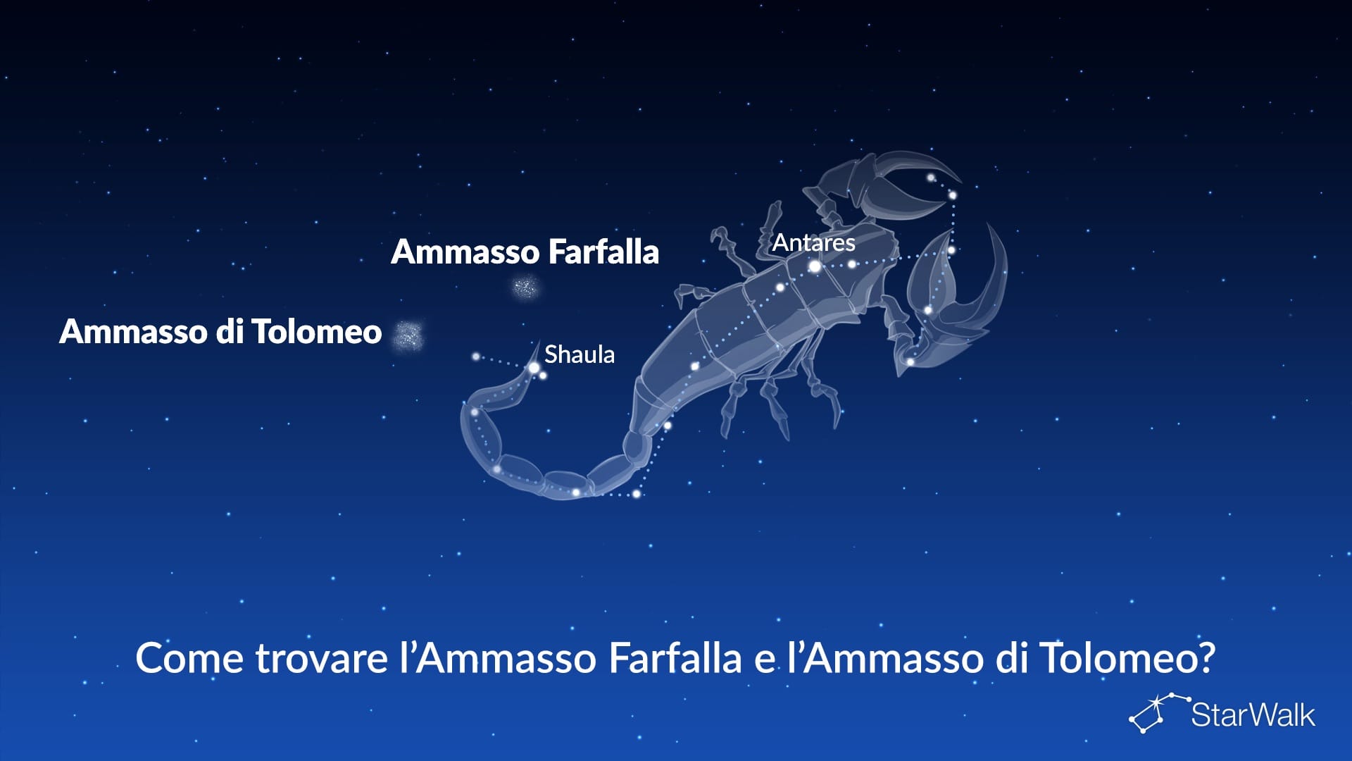Ammasso Farfalla e Ammasso di Tolomeo — come trovarli