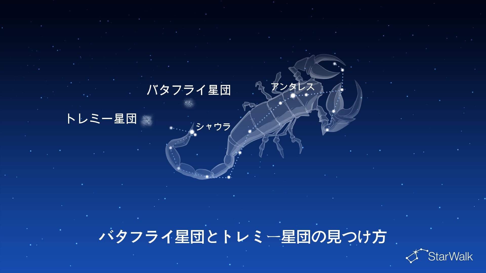 バタフライ星団とトレミー星団の見つけ方