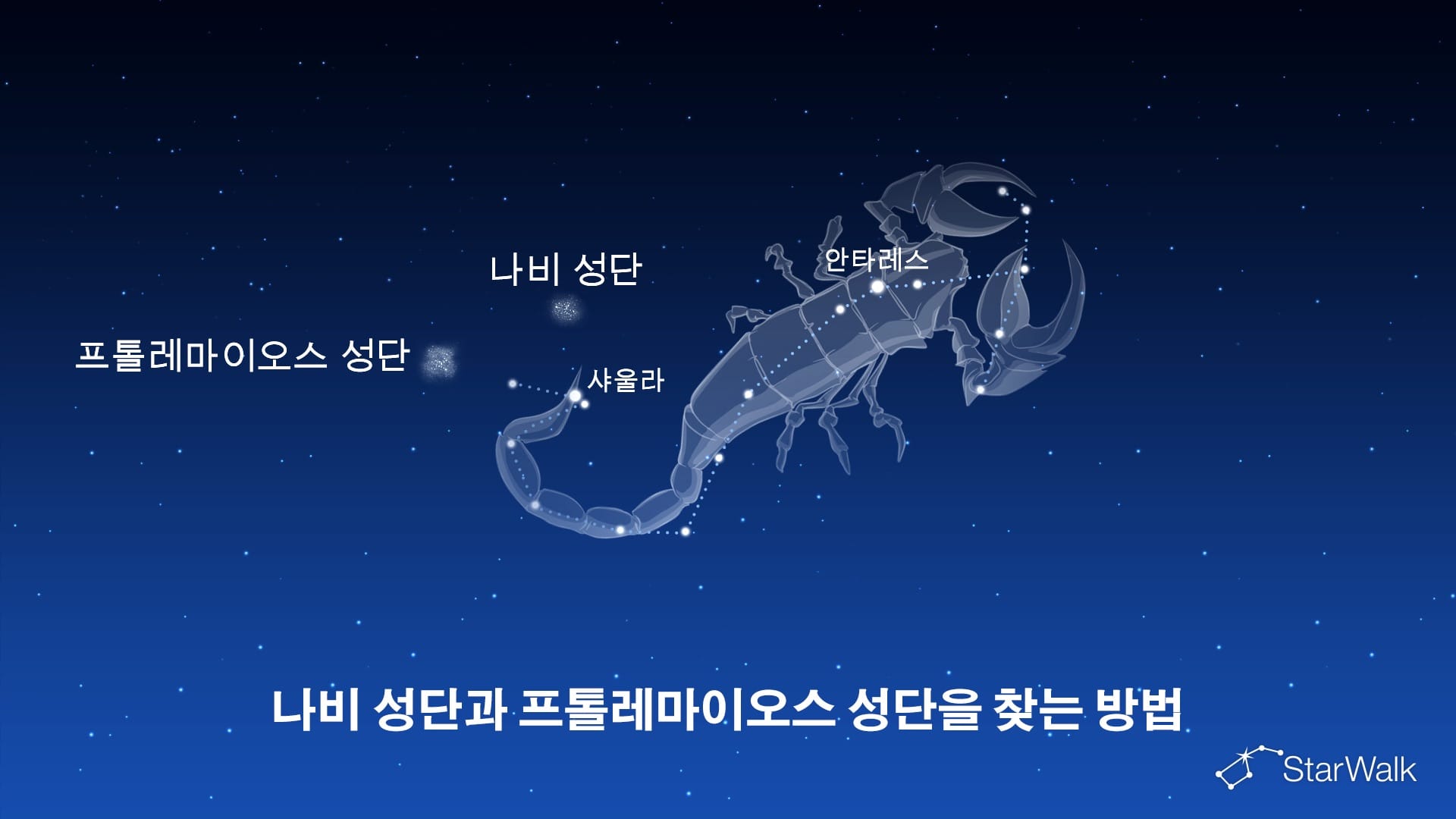 나비 성단과 프톨레마이오스 성단 – 찾는 방법