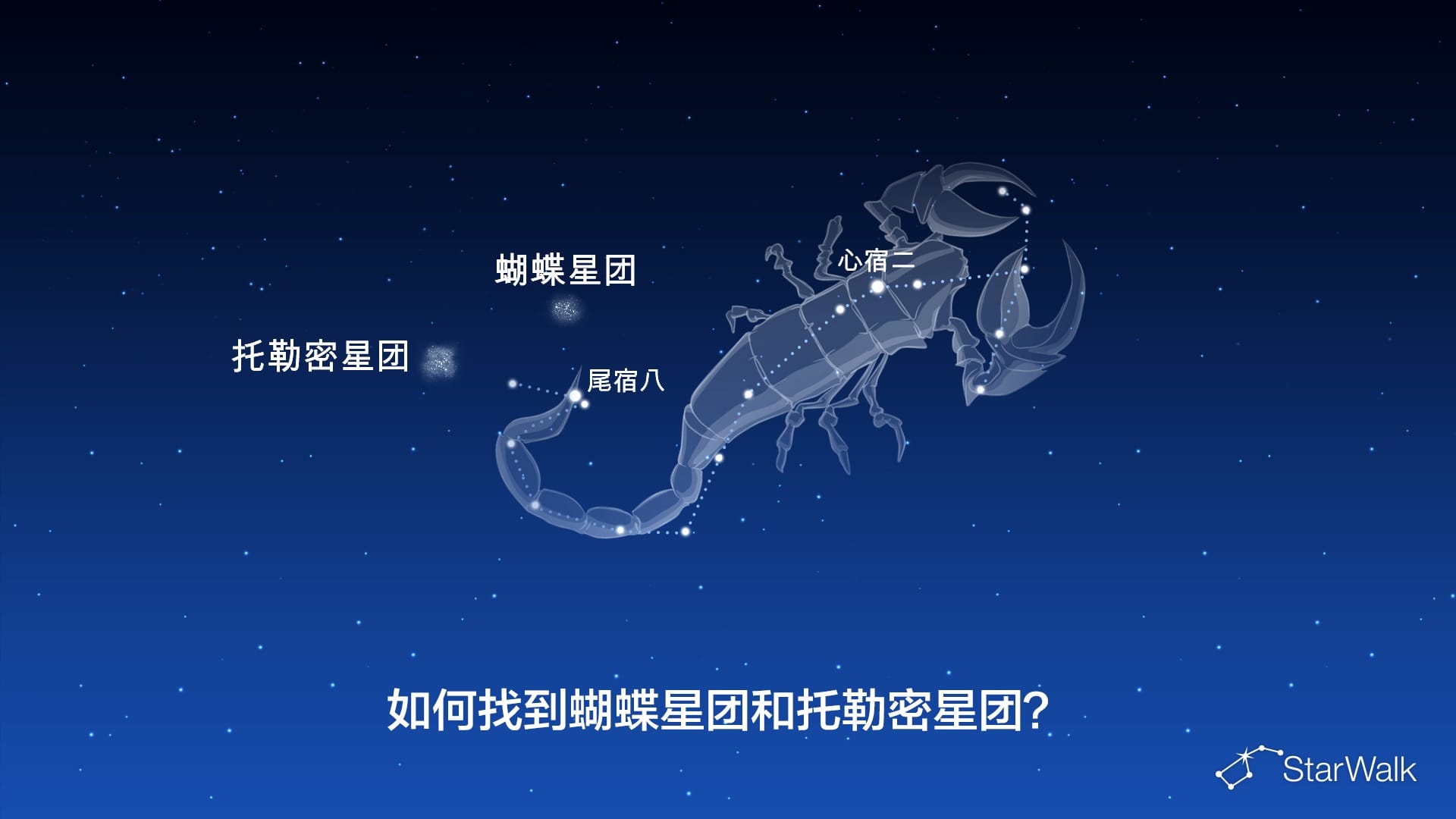 蝴蝶星团和托勒密星团——如何寻找