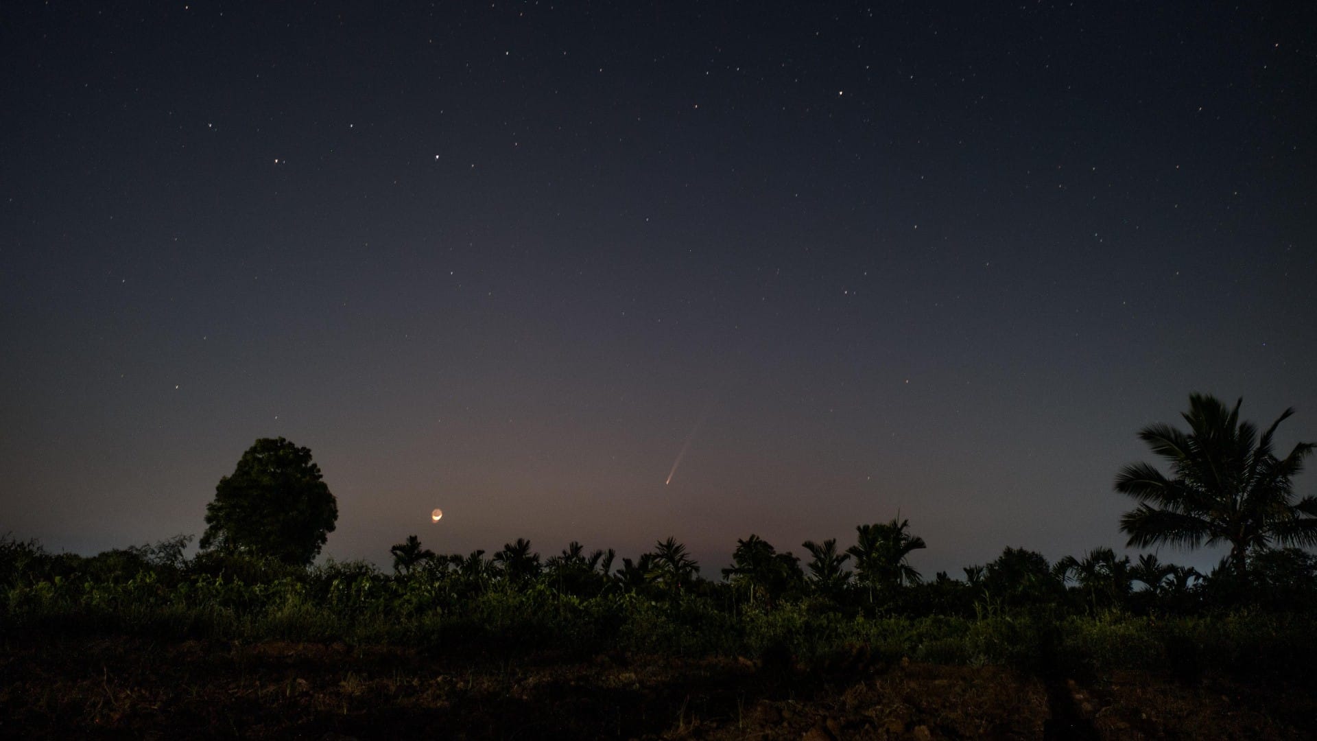 Comet C/2023 A3 (Tsuchinshan-ATLAS) from Bangalore, India