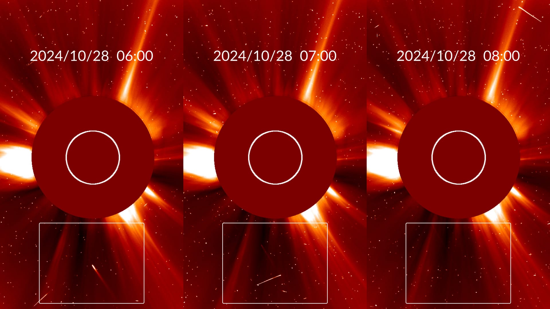 C/2024 S1 на снимках SOHO  