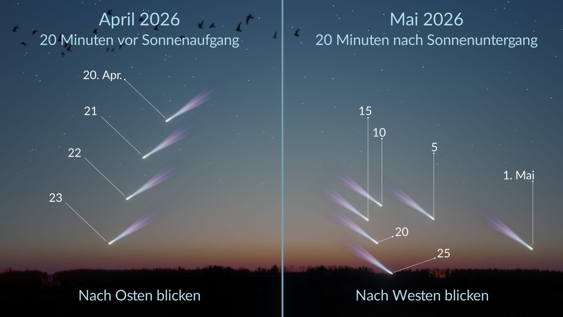 C/2025 R3 (PanSTARRS): Sichtbarkeit auf der Nordhalbkugel