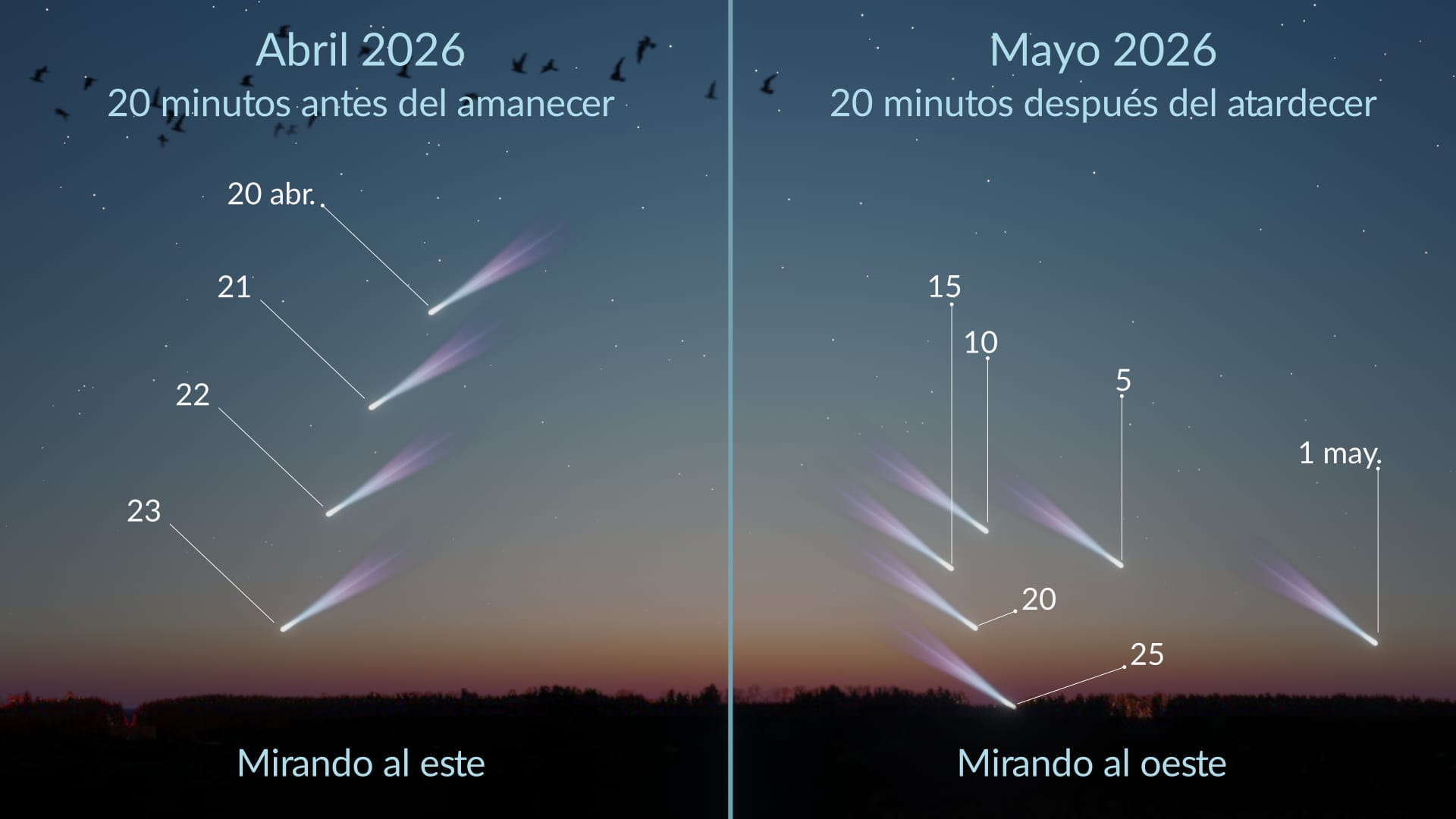 C/2025 R3 (PanSTARRS): visibilidad en el hemisferio norte