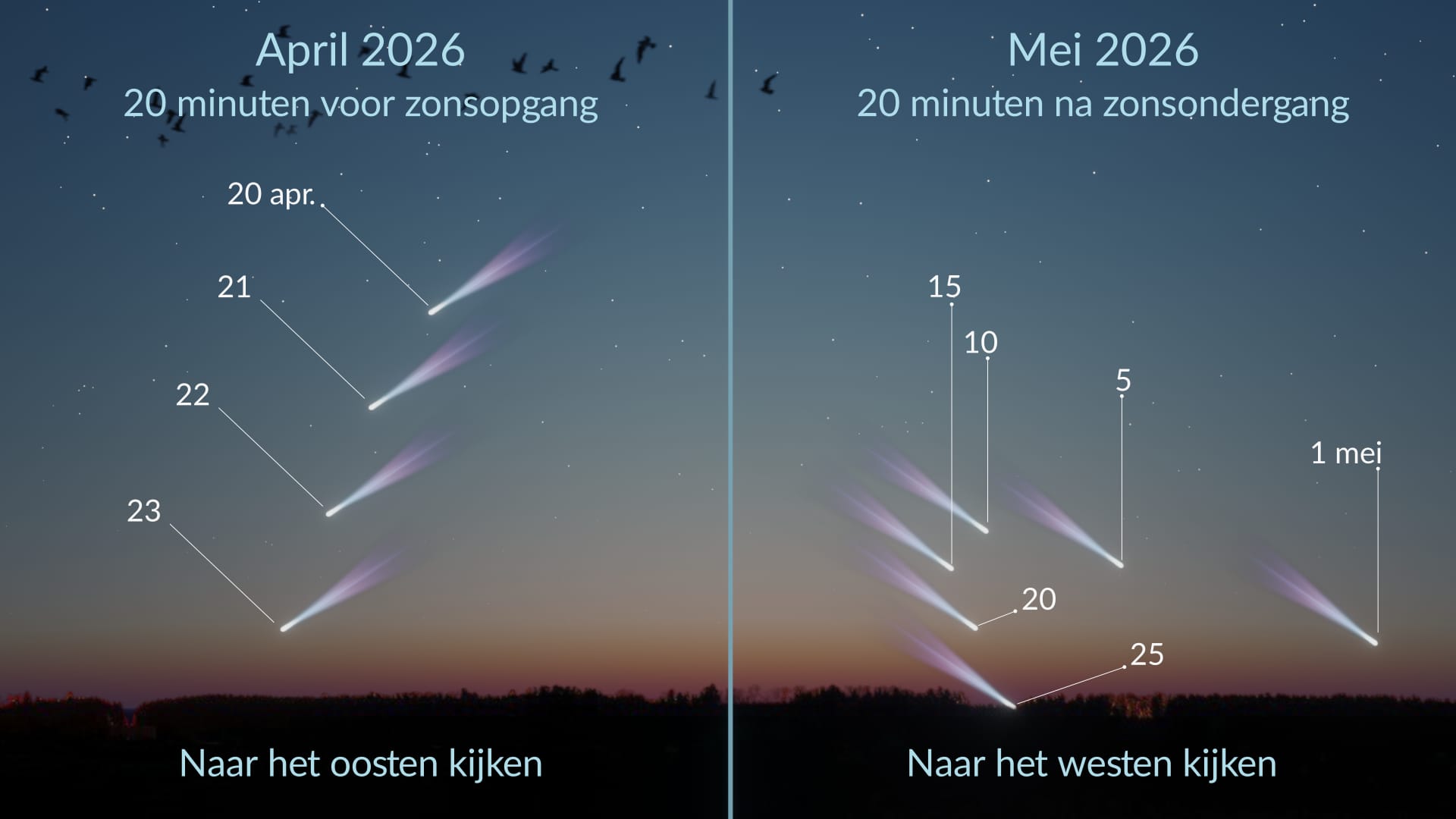 C/2025 R3 (PanSTARRS): zichtbaarheid op het noordelijk halfrond