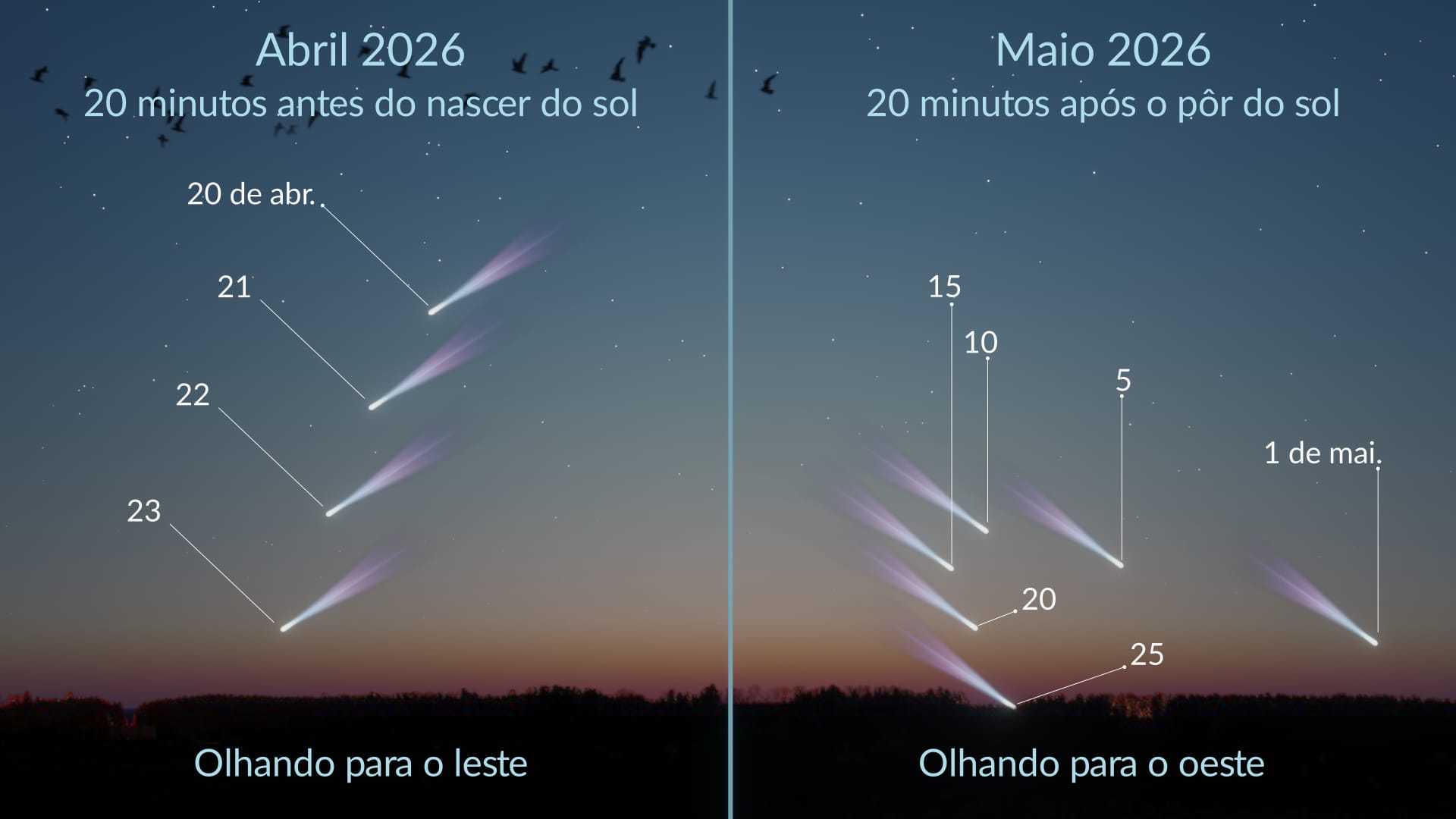C/2025 R3 (PanSTARRS): visibilidade no Hemisfério Norte