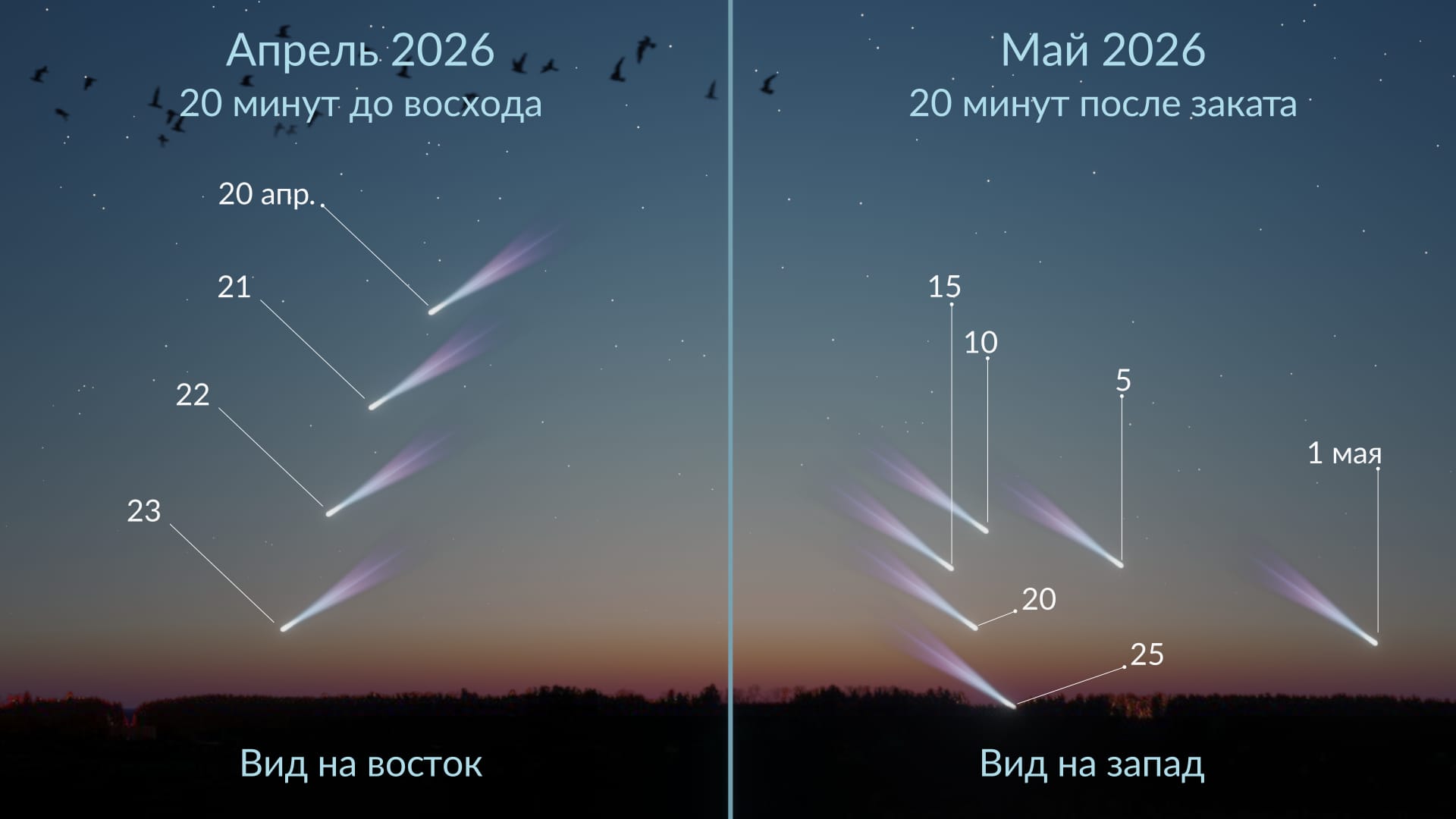 C/2025 R3 (PanSTARRS): видимость в Северном полушарии