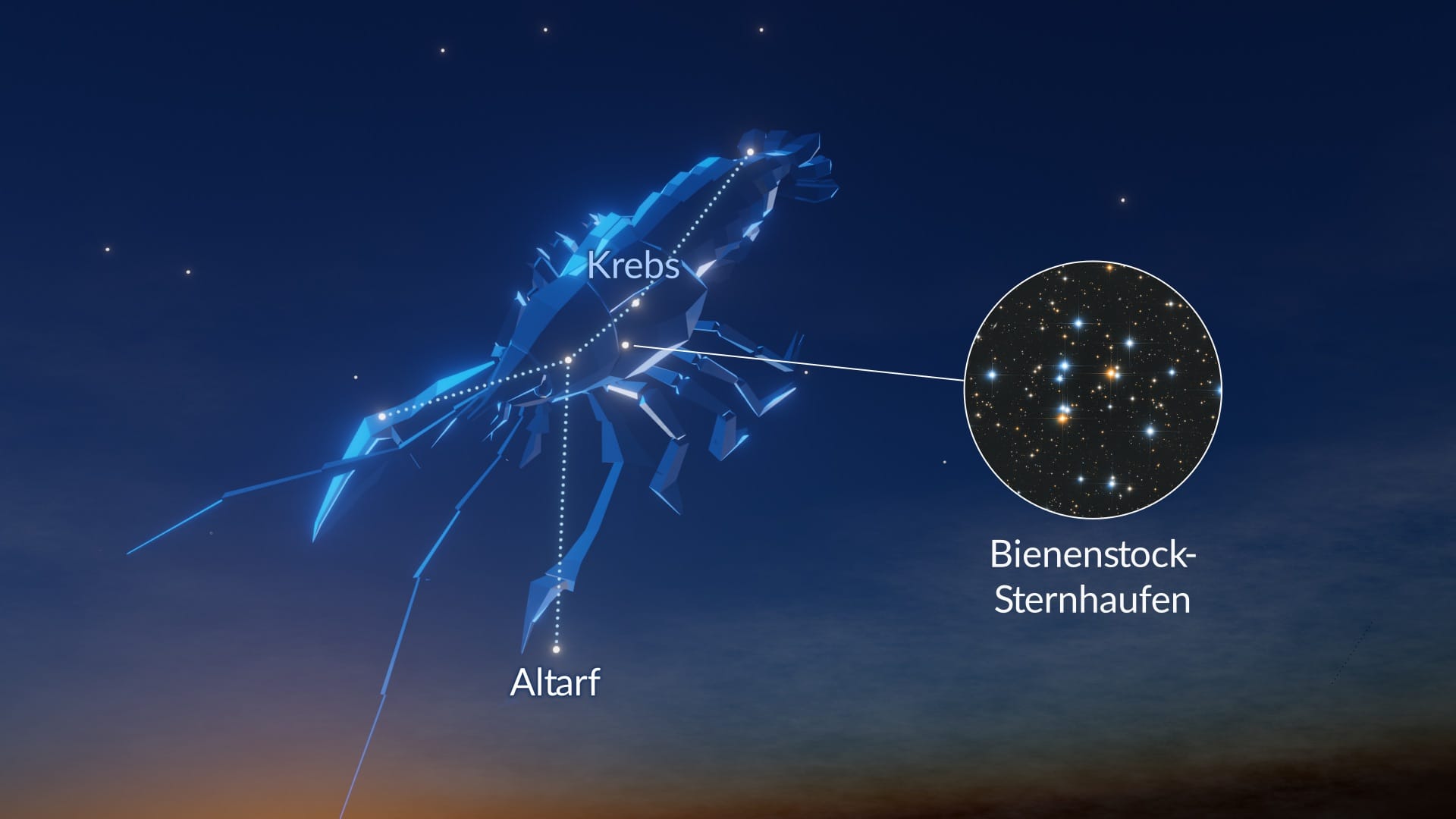 Constellation Cancer
