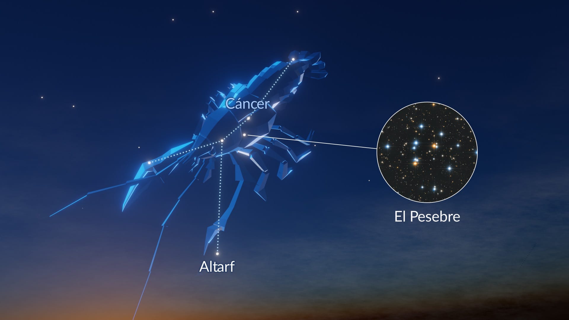 Constellation Cancer