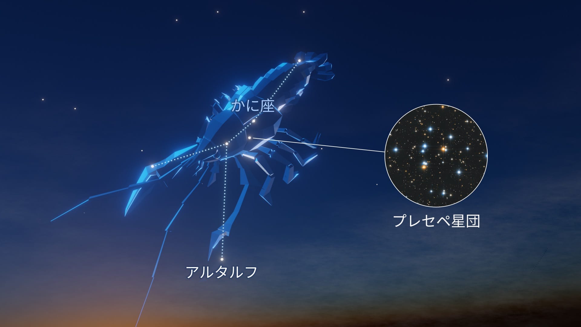 Constellation Cancer