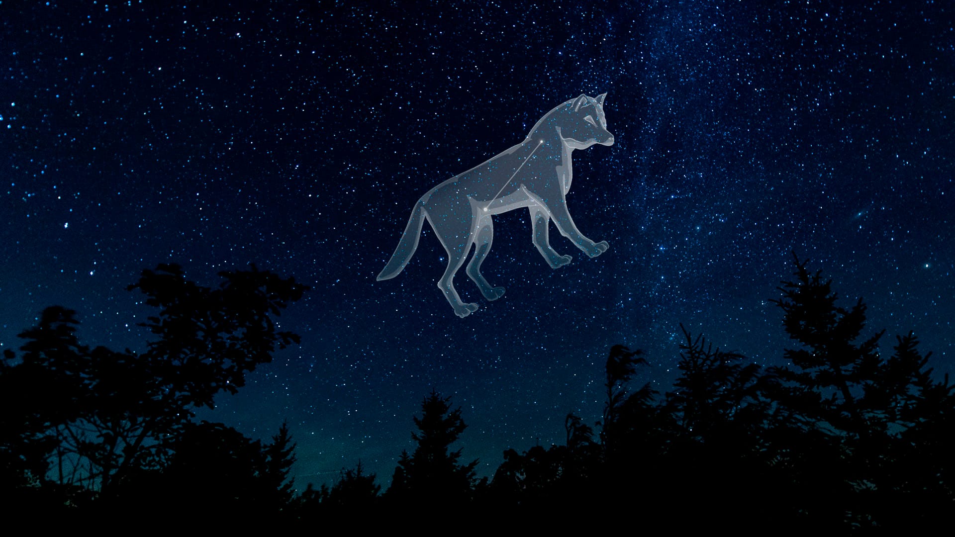 Constellation Canis Minor
