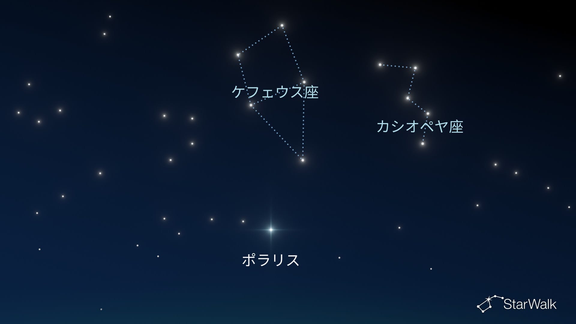北半球でのケフェウス座の探し方
