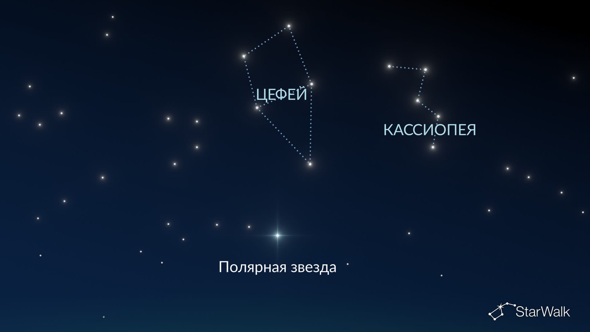 Как найти Цефея в Северном полушарии