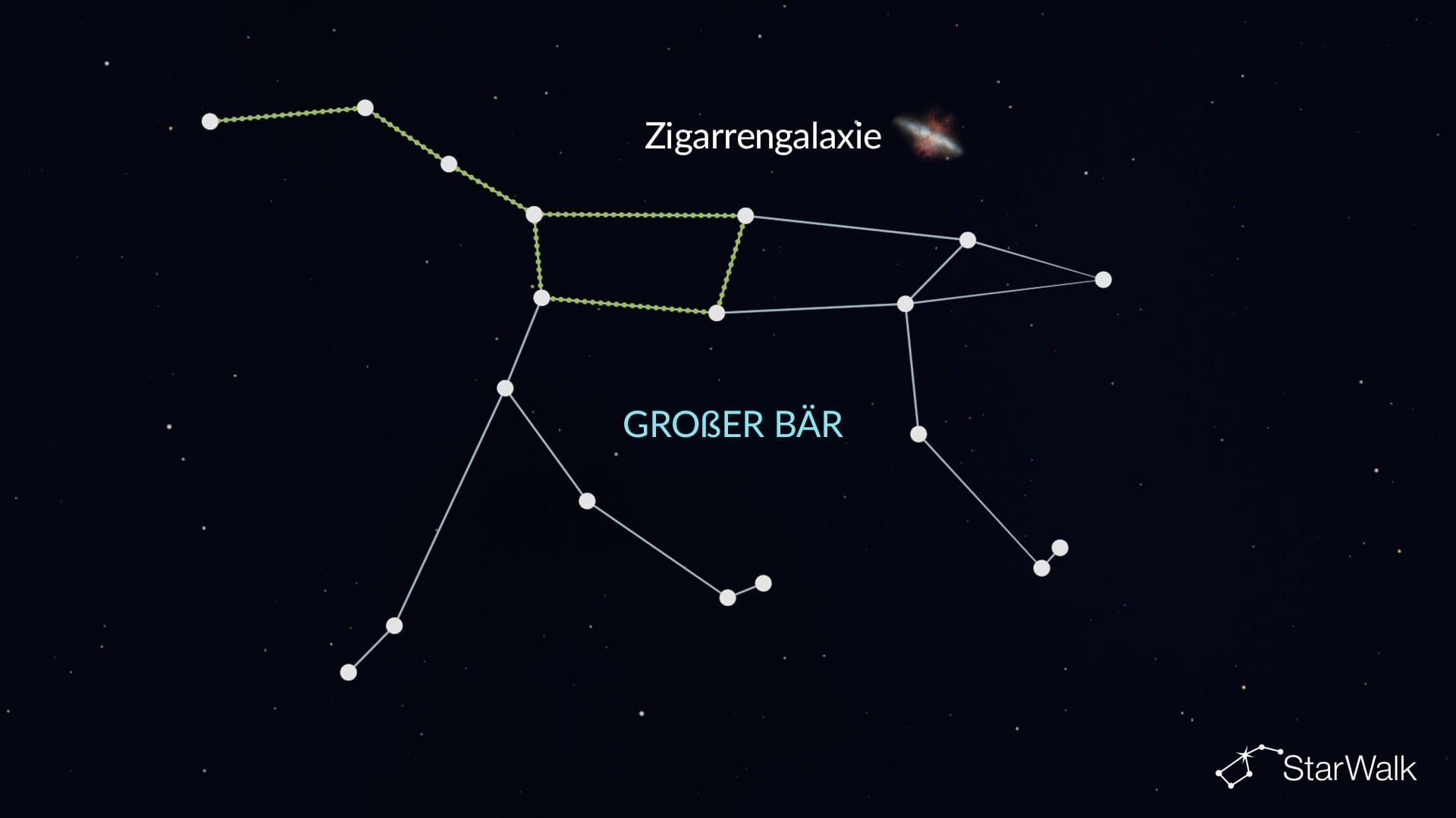 Zigarrengalaxie im Großen Bären