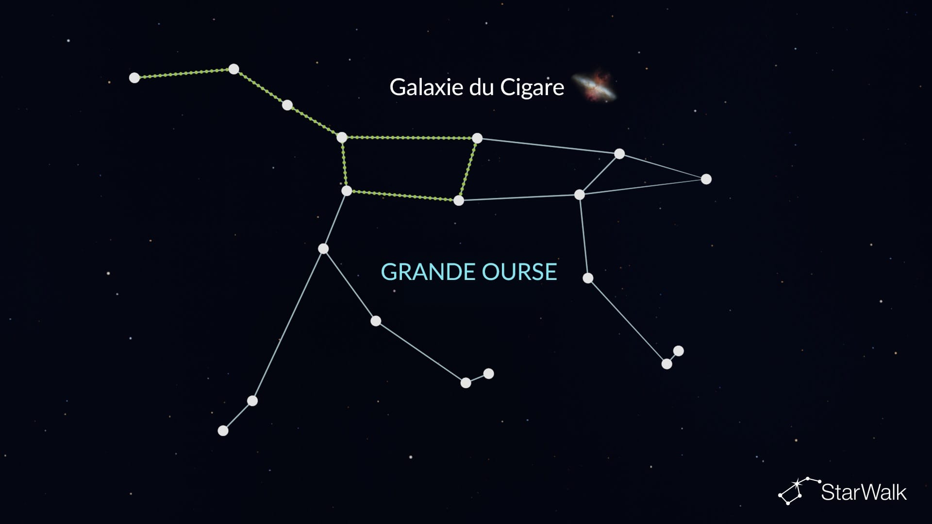 Galaxie du Cigare dans la Grande Ourse